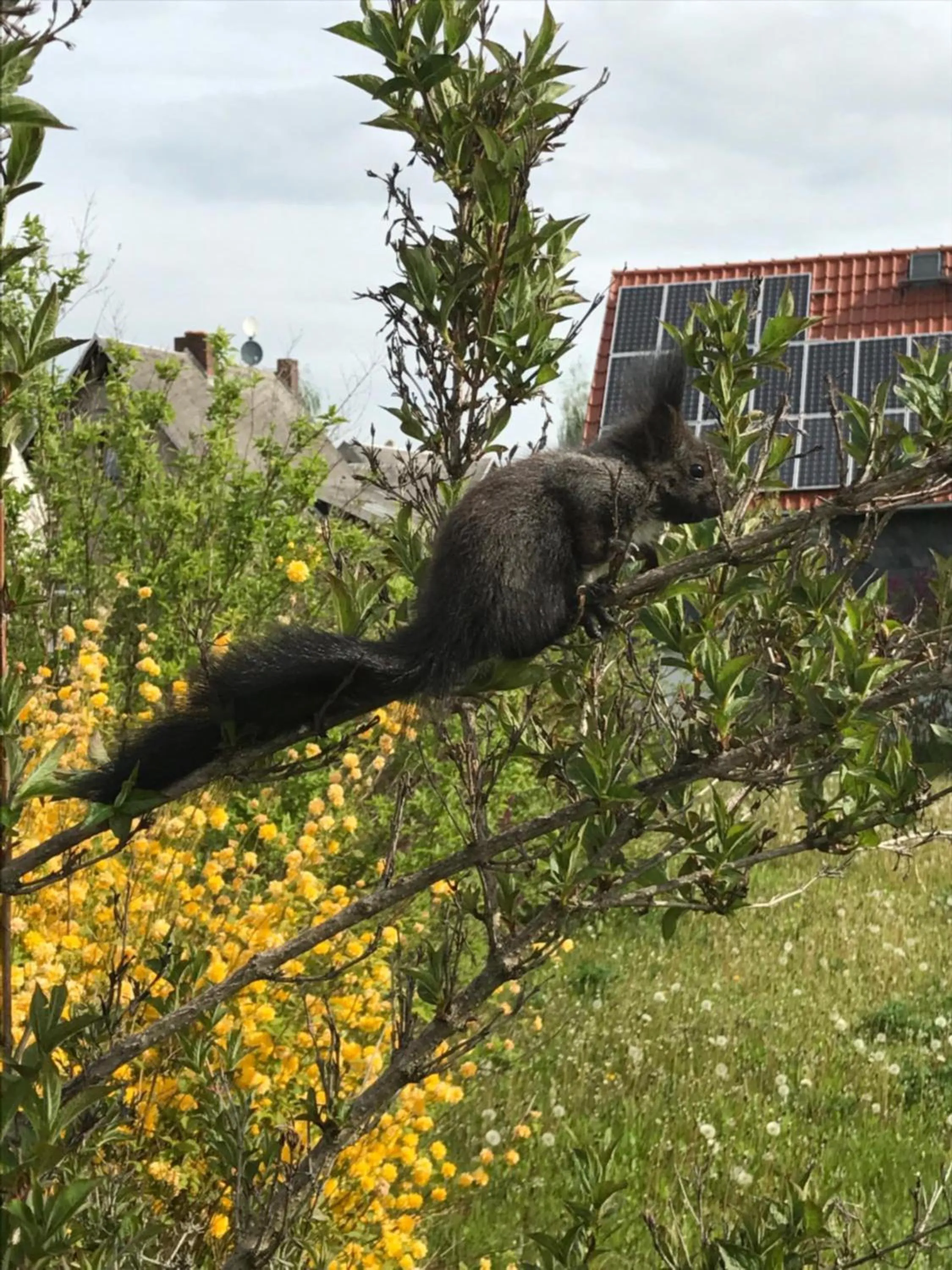 Garden in Fischerhof