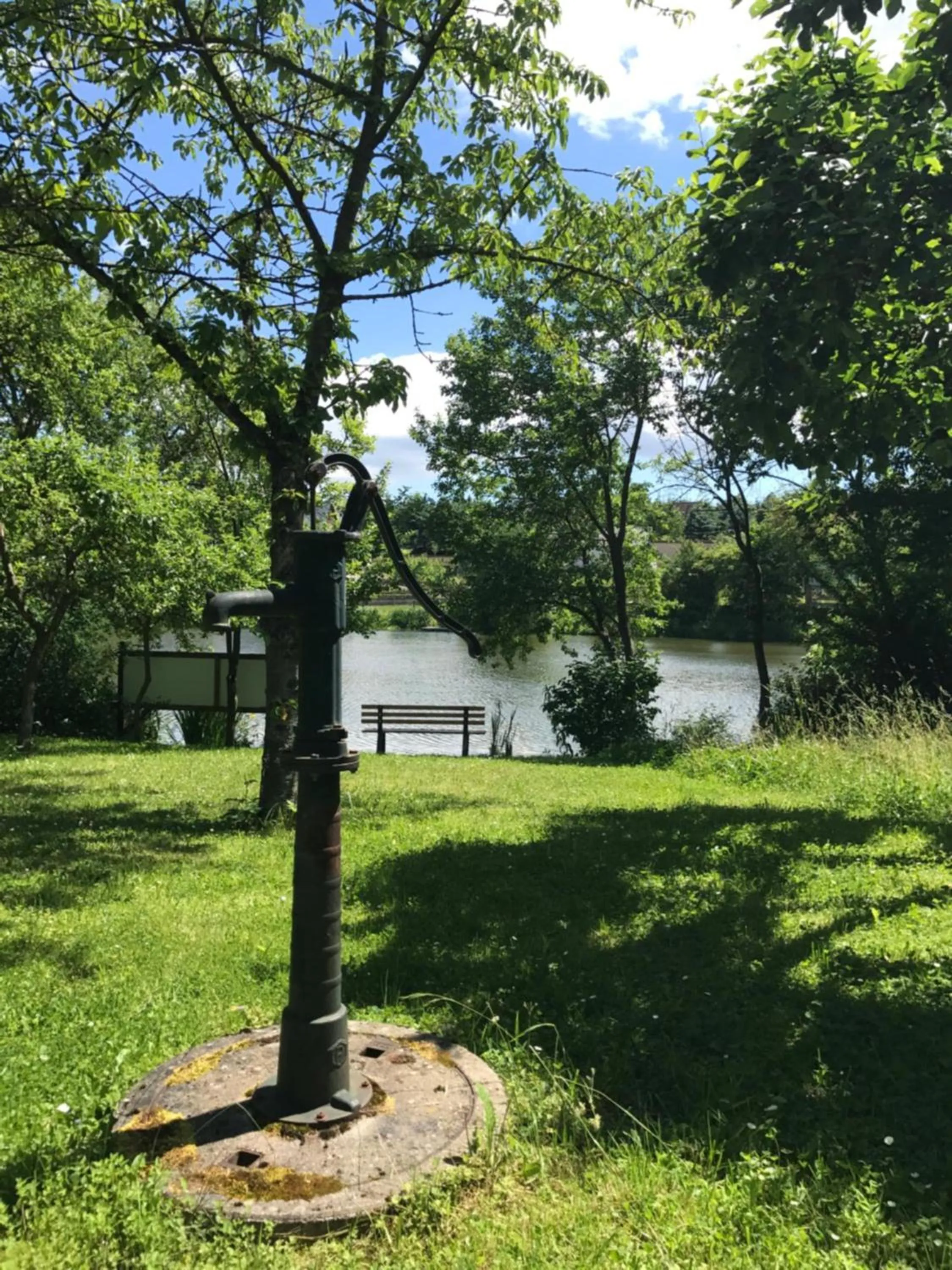 Garden in Fischerhof