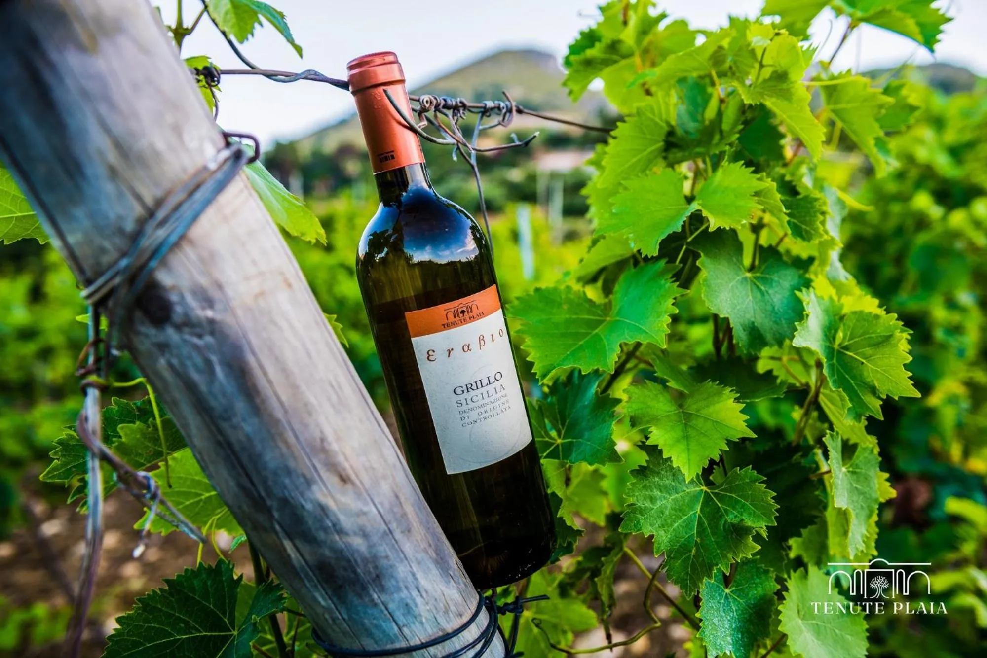 Patio in Tenute Plaia Agriturismo
