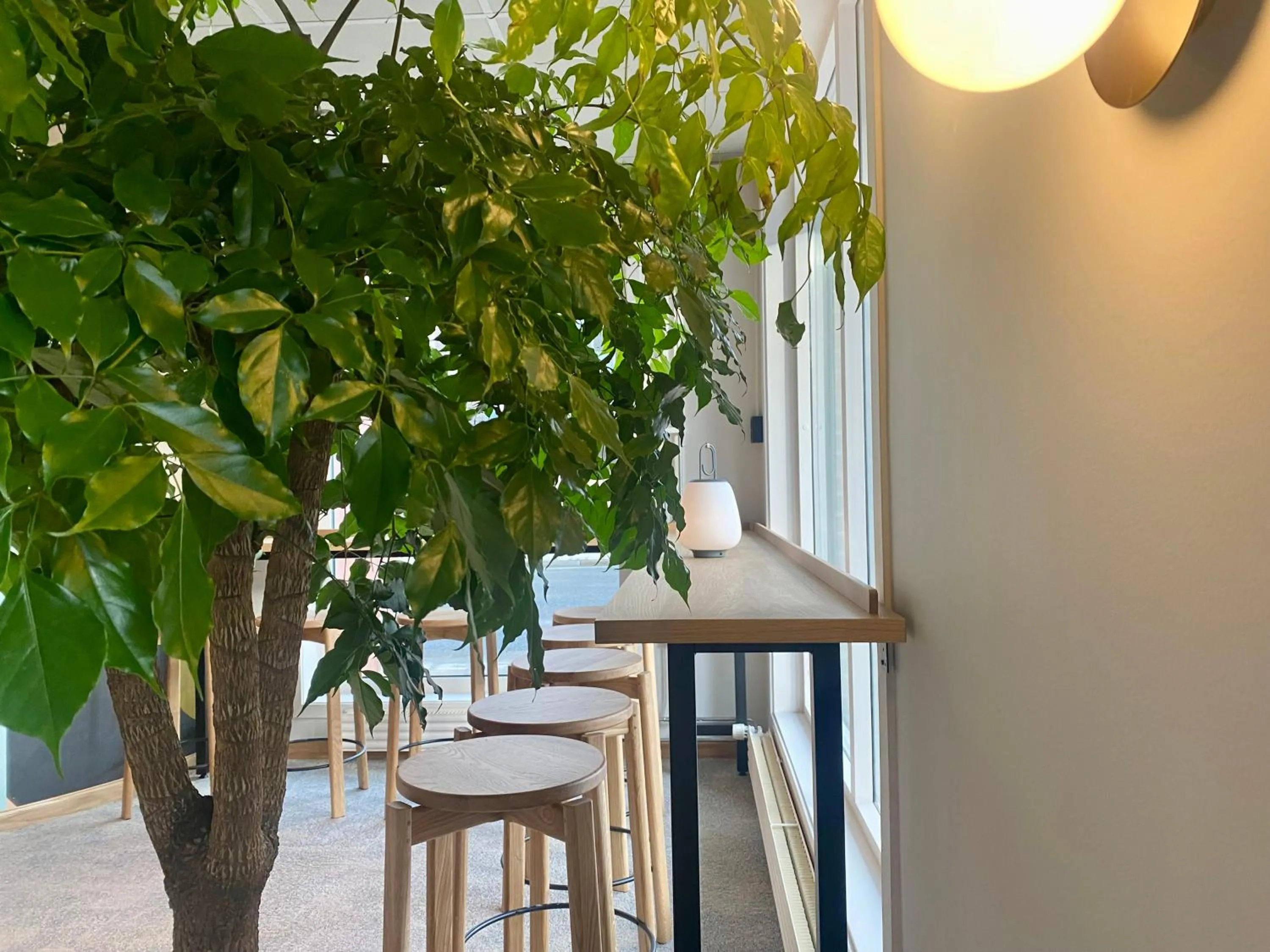 Lobby or reception in Comfort Hotel Park