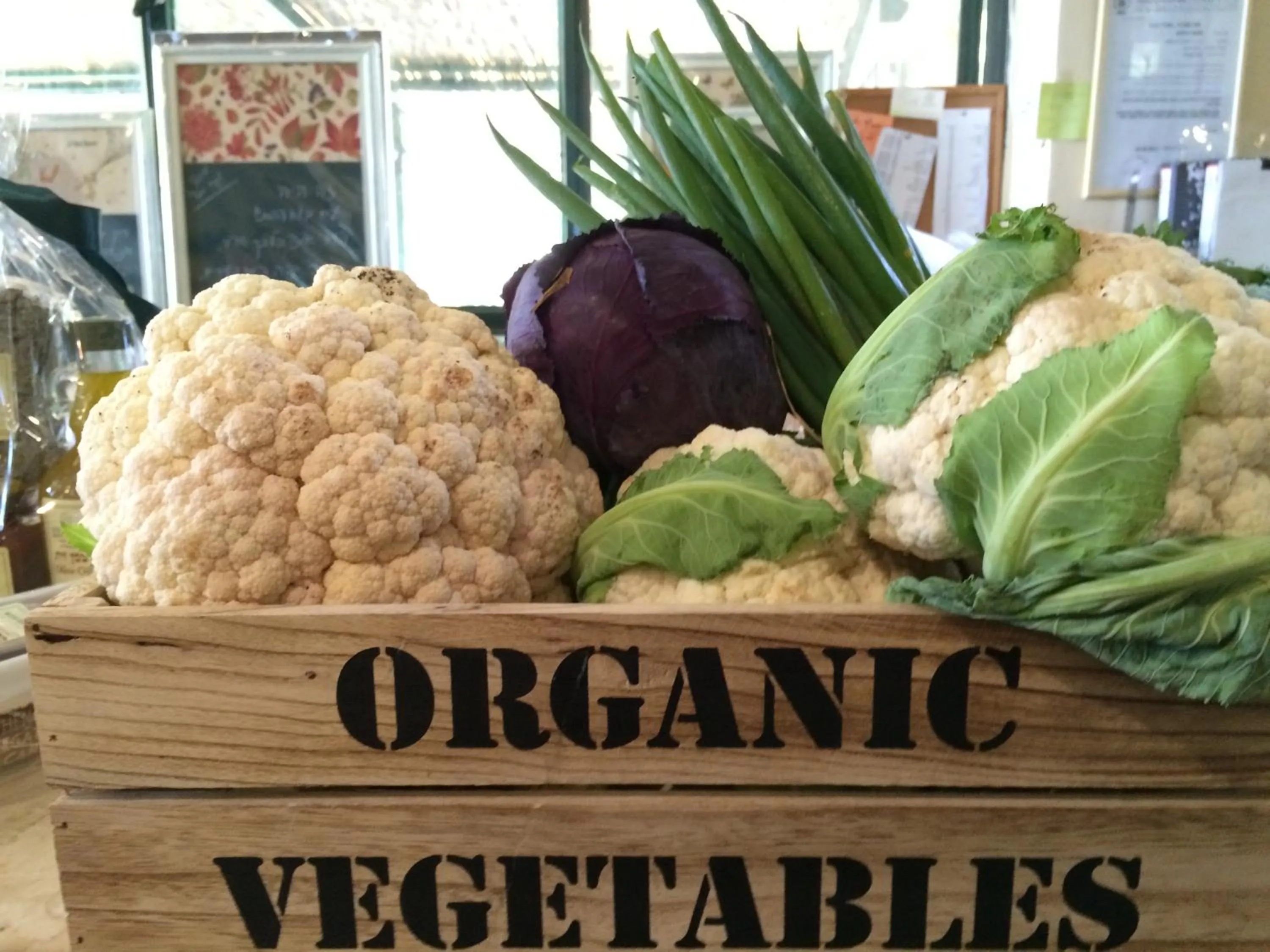 Food in Mizpe Hayamim by Isrotel Exclusive