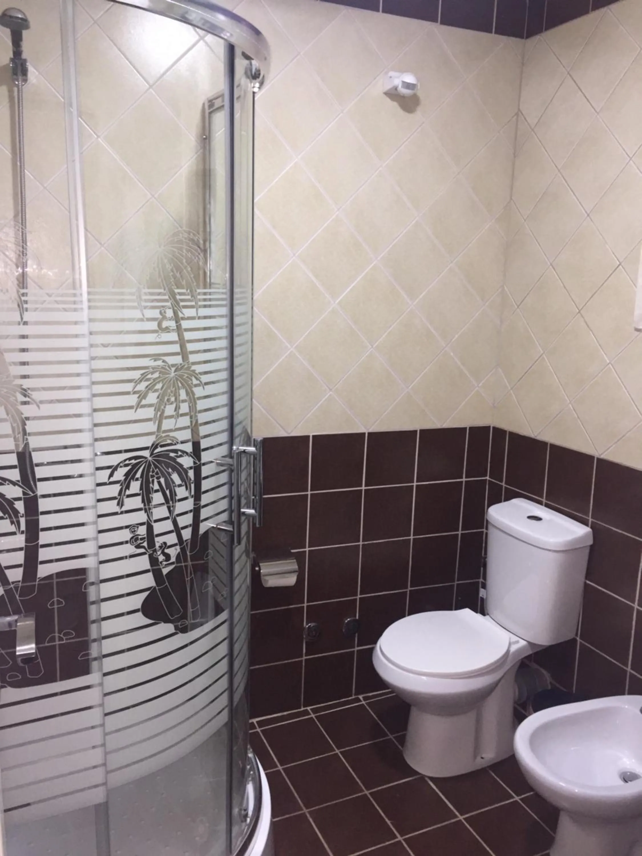 Shower in Hotel Bujtina Bicolli