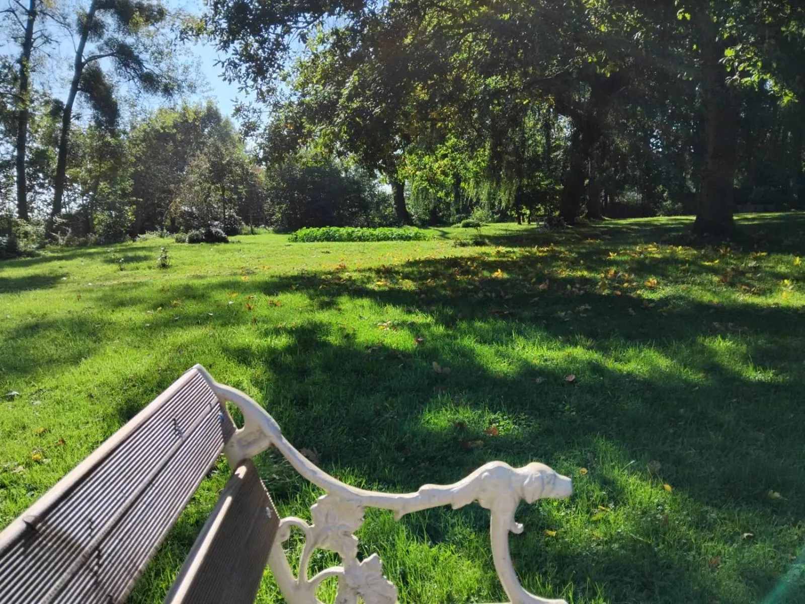 Garden in Logis Hôtel De France- Restaurant GRILL