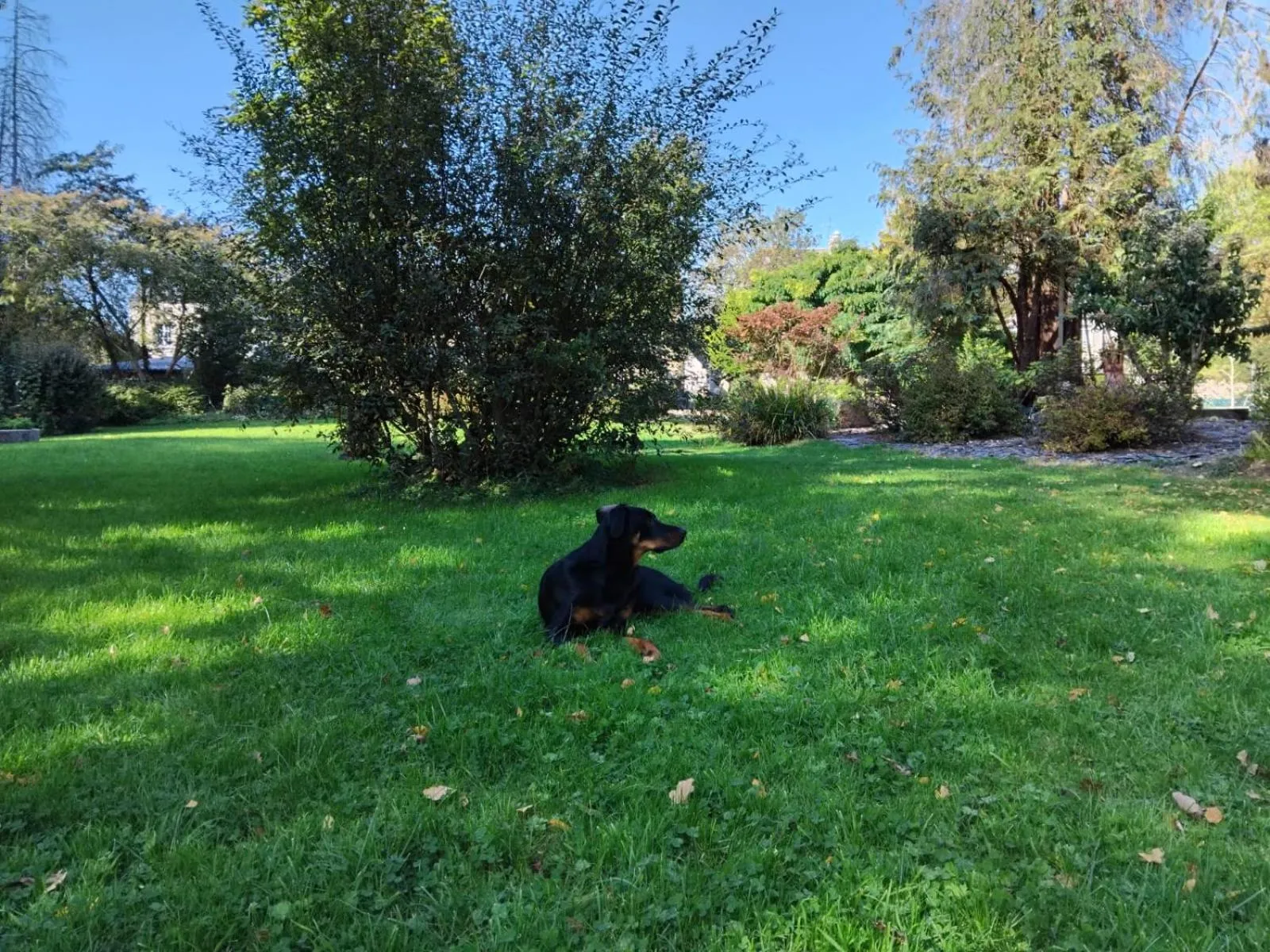 Garden in Logis Hôtel De France- Restaurant GRILL
