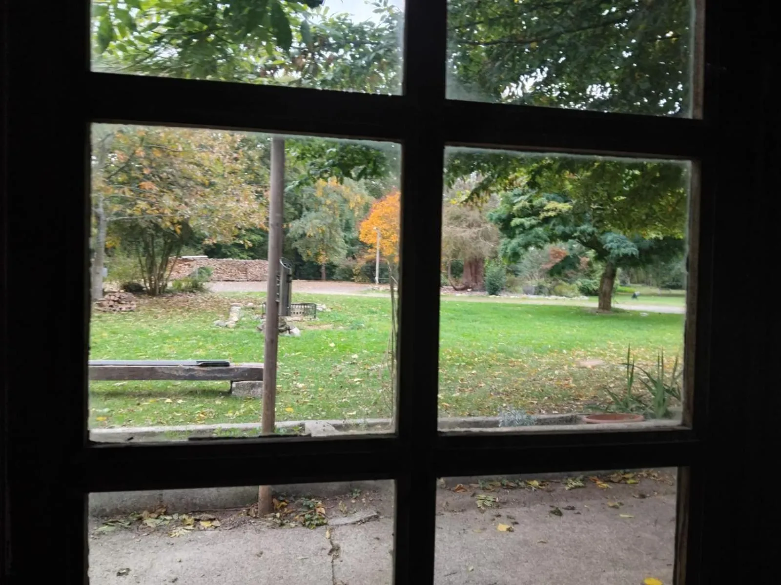 Garden view in Logis Hôtel De France- Restaurant GRILL