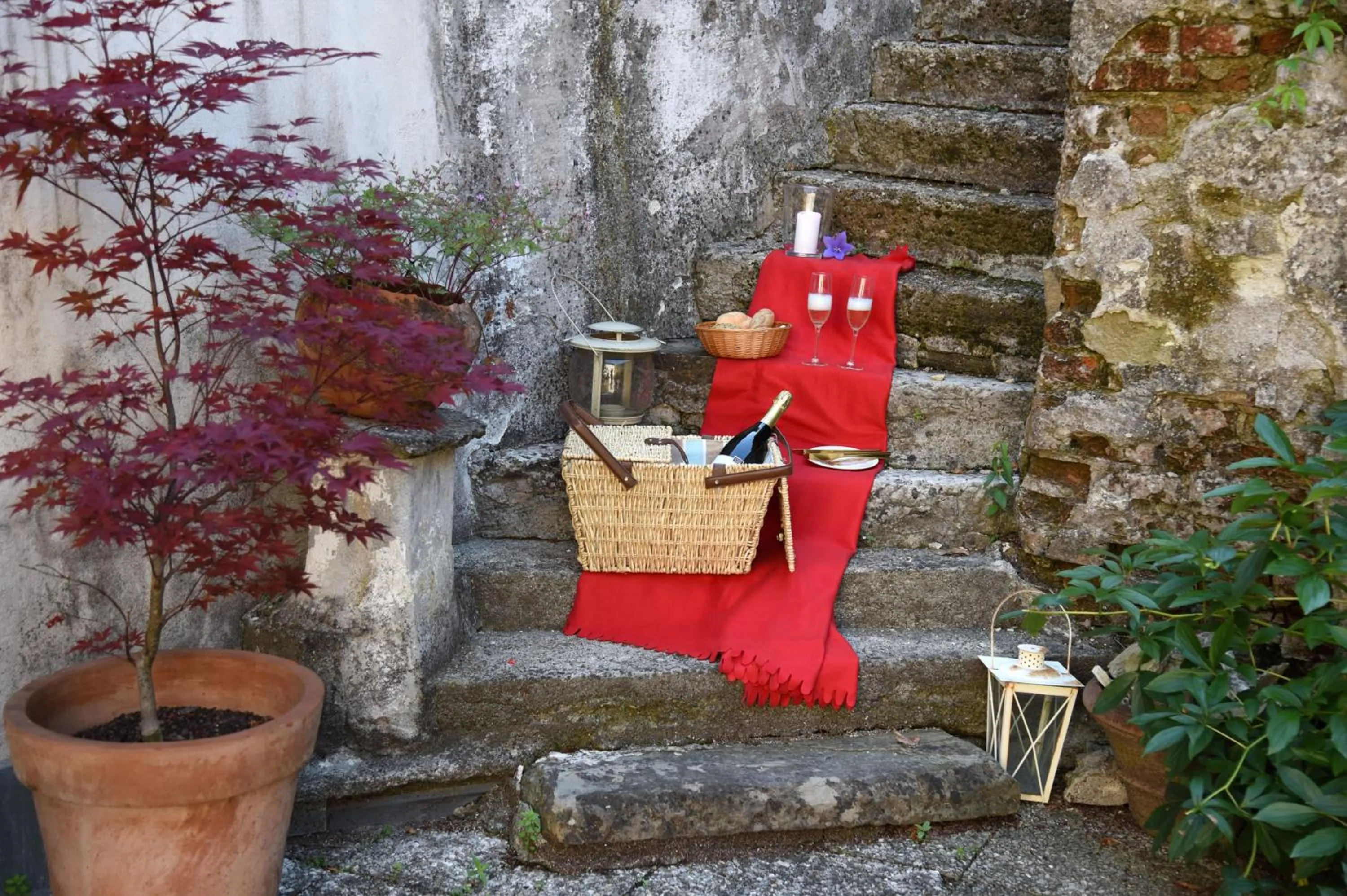 Restaurant/places to eat in Hotel Krone 1512