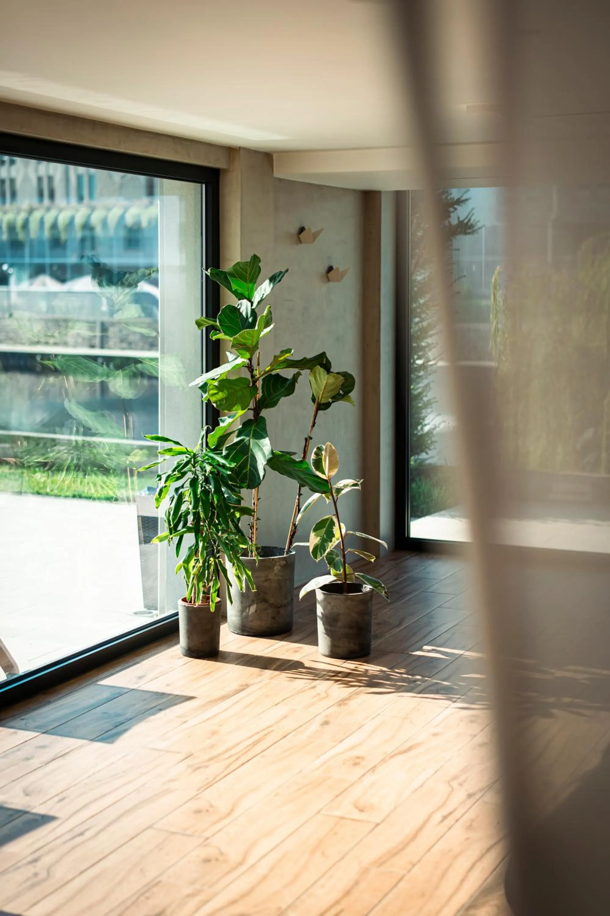 Swimming pool in Hotel Vouga