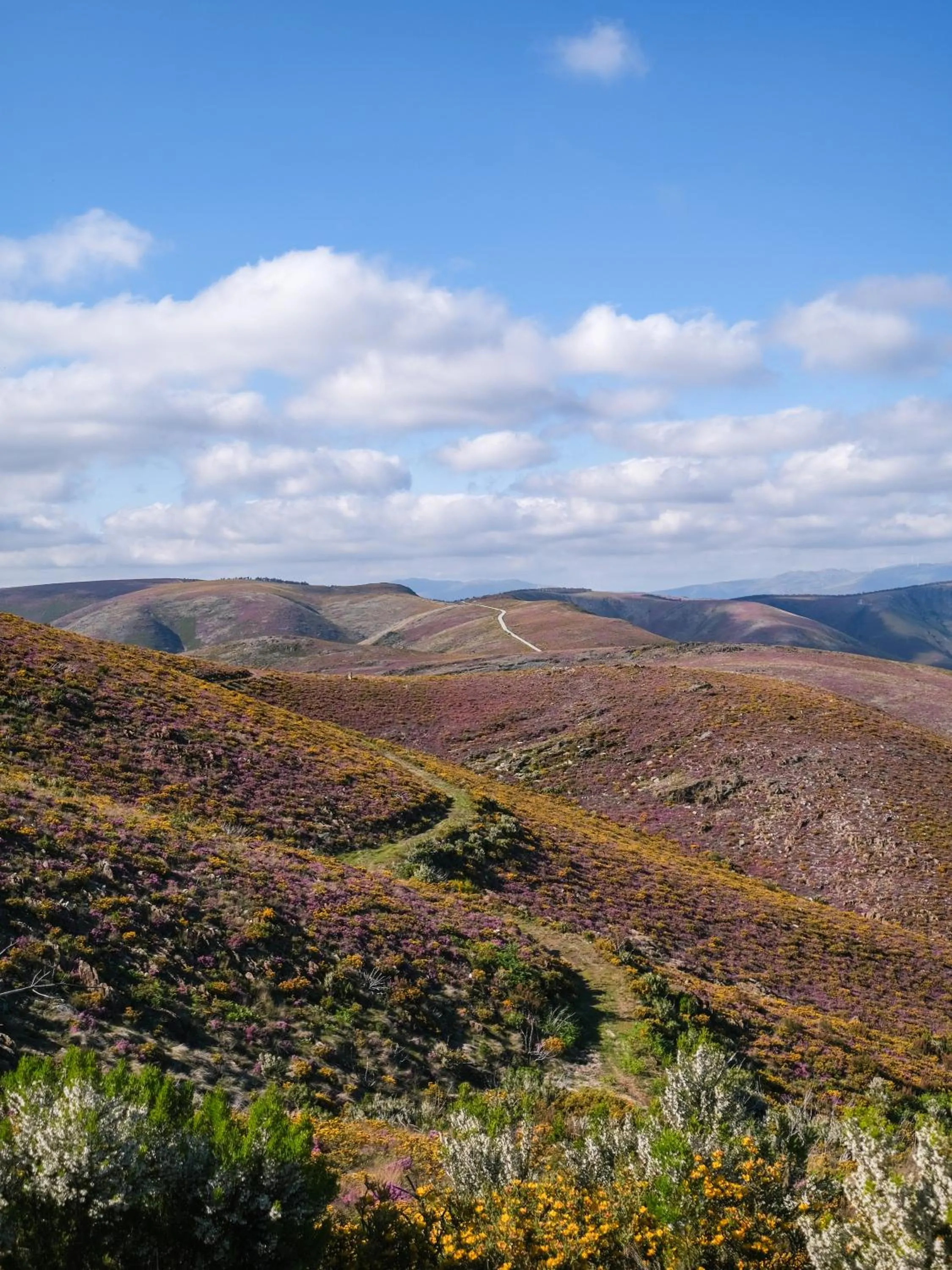 Nearby landmark in Hotel Vouga
