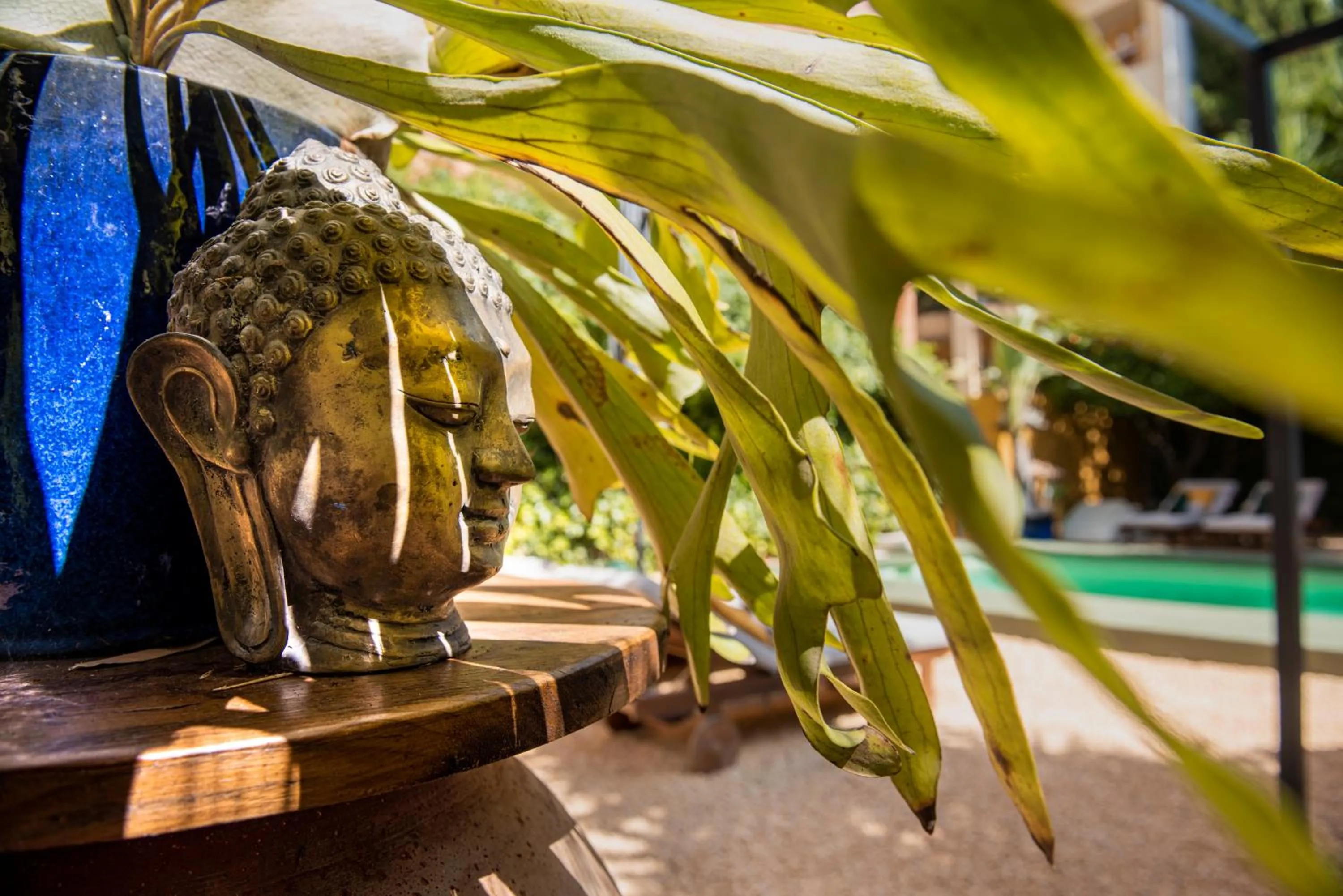 Garden in Casa Con Destino