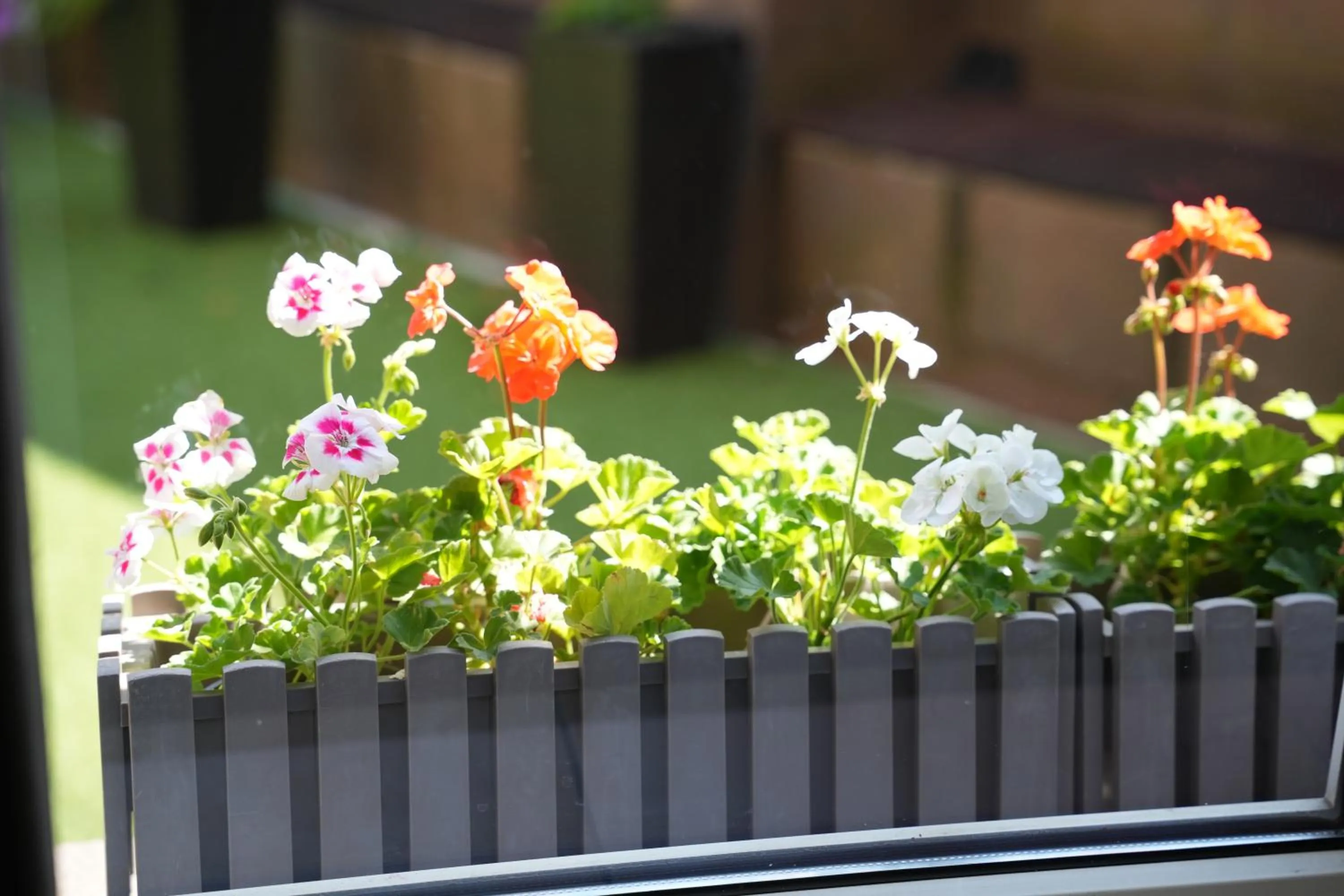 Garden in Hotel Frohnhauser Hof