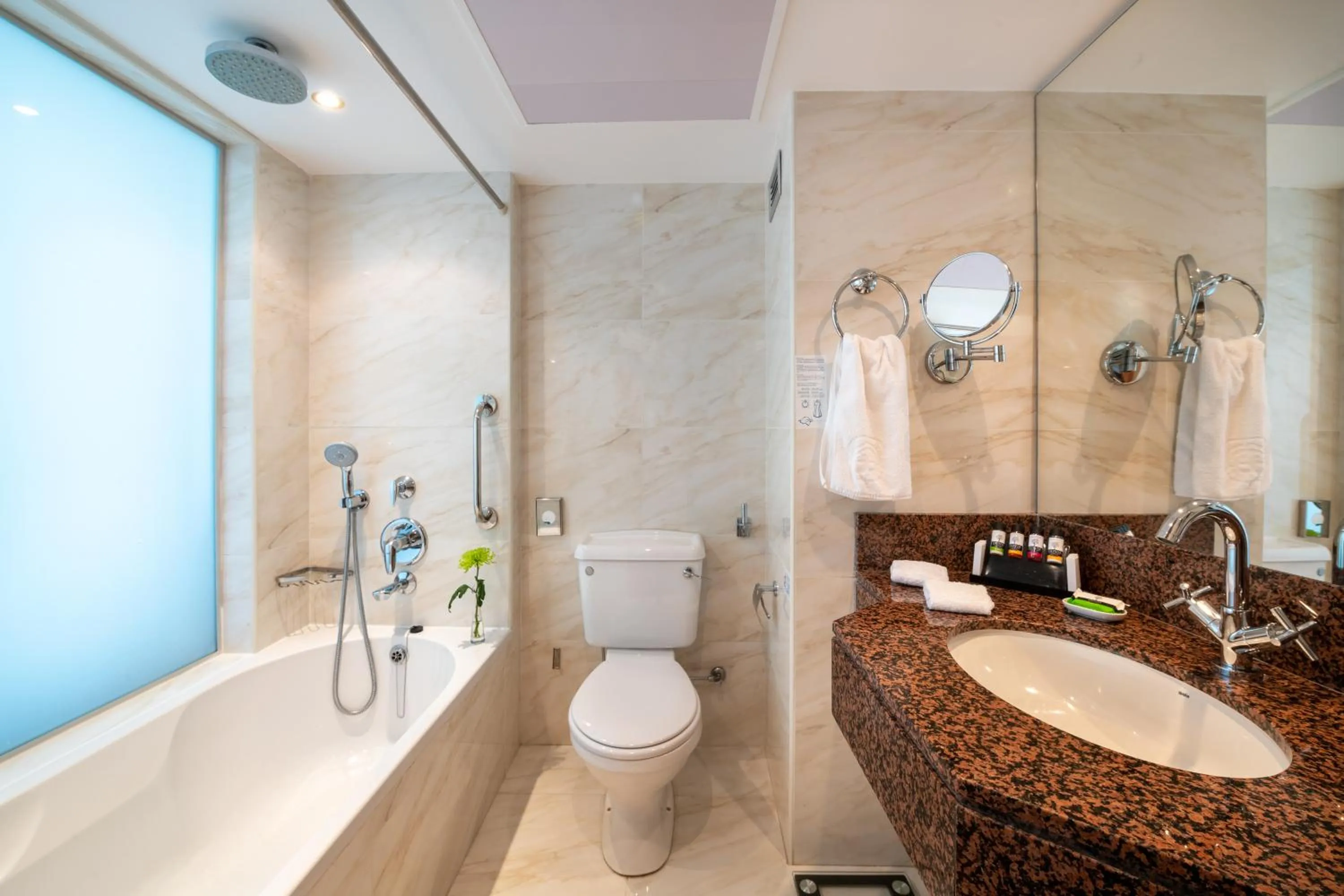 Classic Room with Sea View in Constantinou Bros Athena Beach Hotel