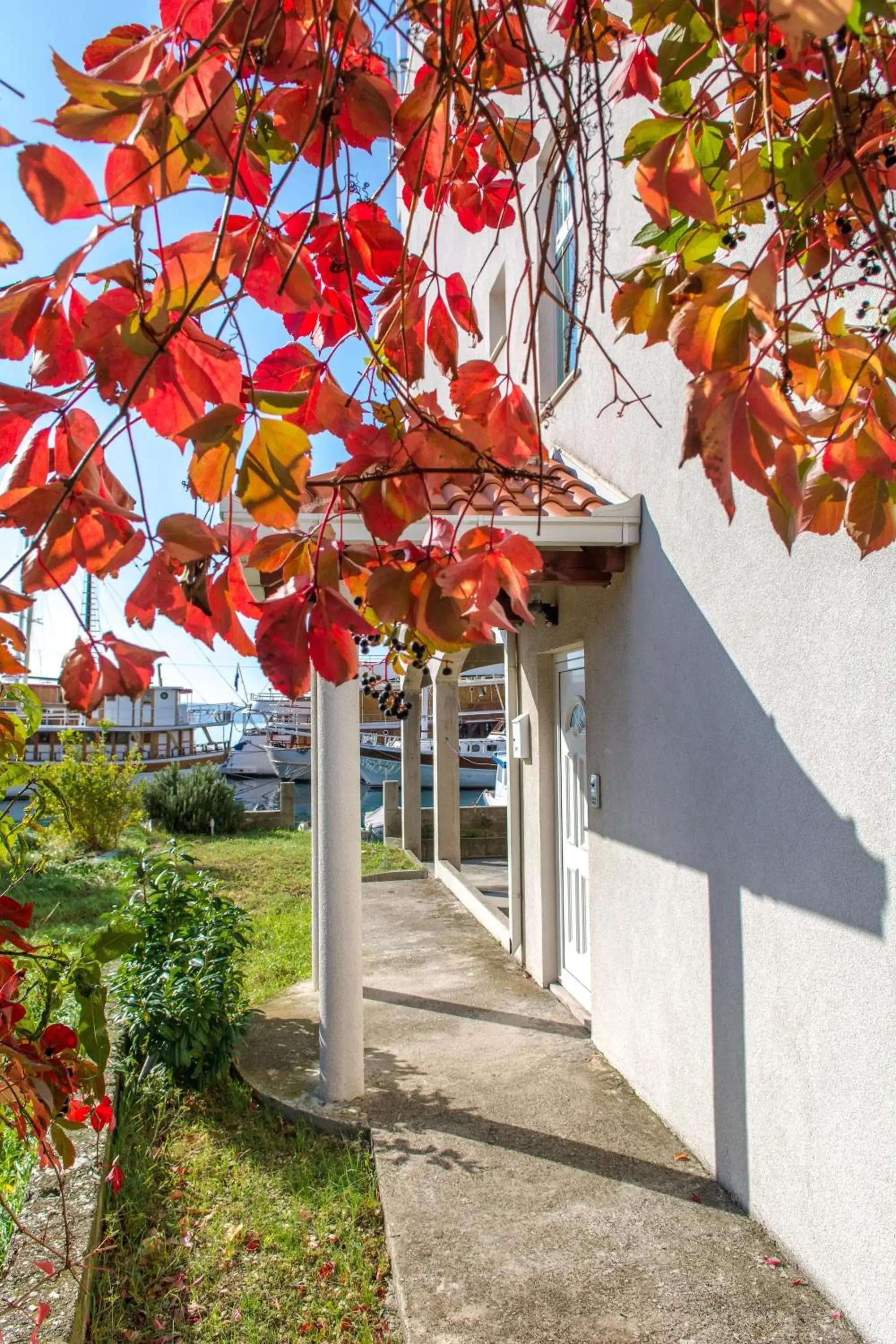 Facade/entrance in Apartments Duje Facade/entrance in Apartments Duje