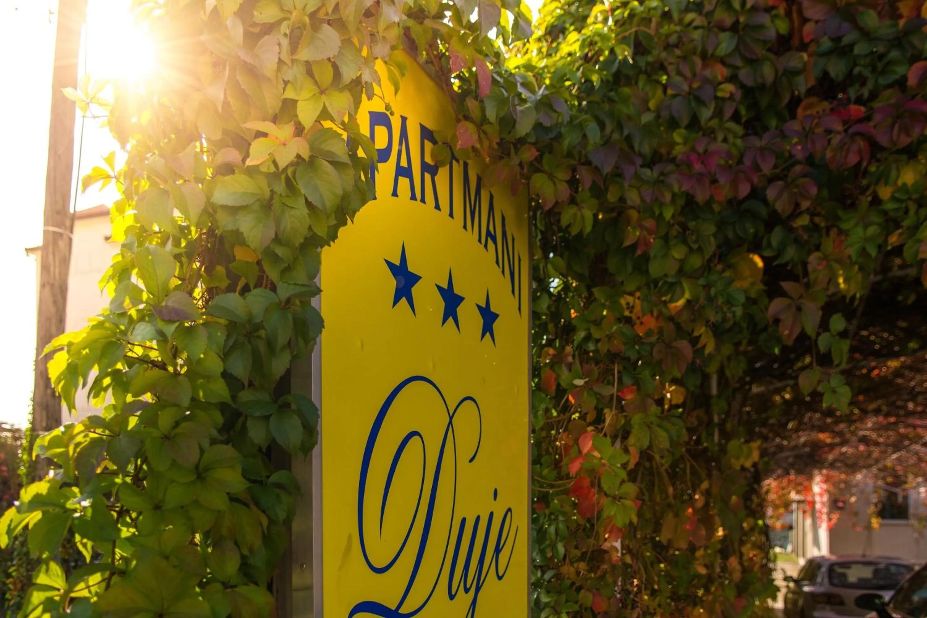 Area and facilities in Apartments Duje