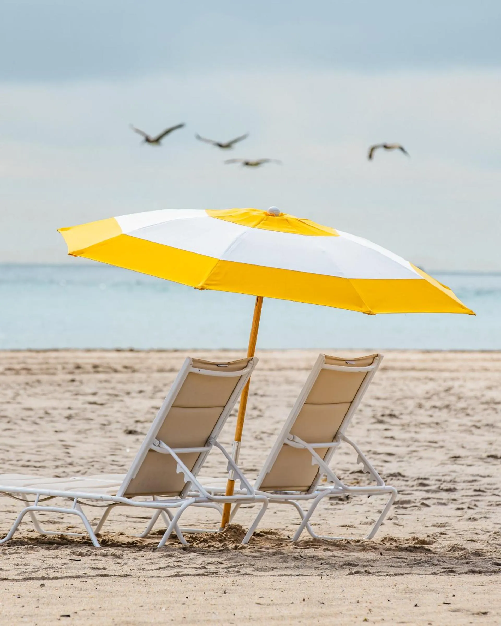 sunbed in The Lago Mar Beach Resort and Club