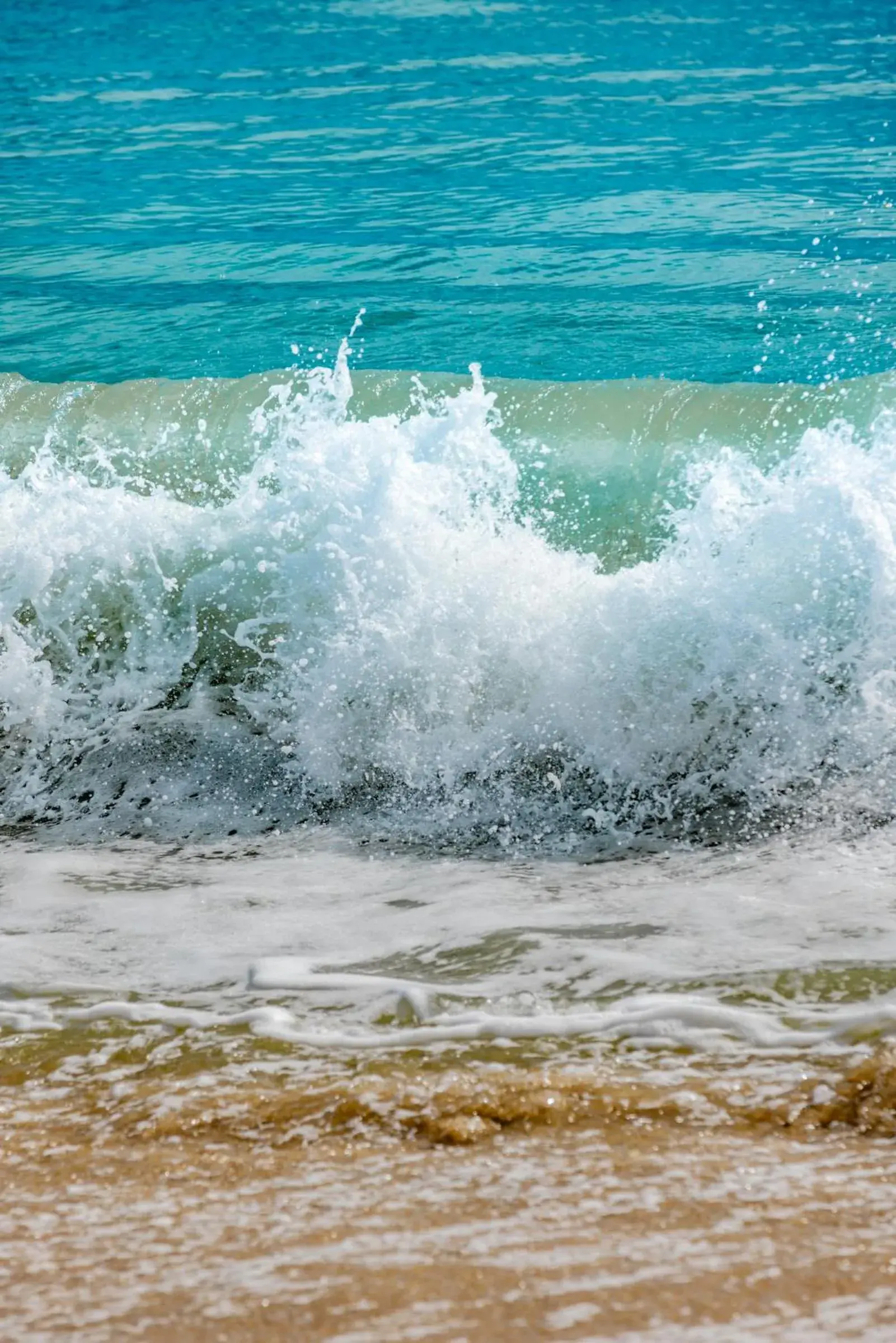 Sea view in The Lago Mar Beach Resort and Club Sea view in The Lago Mar Beach Resort and Club