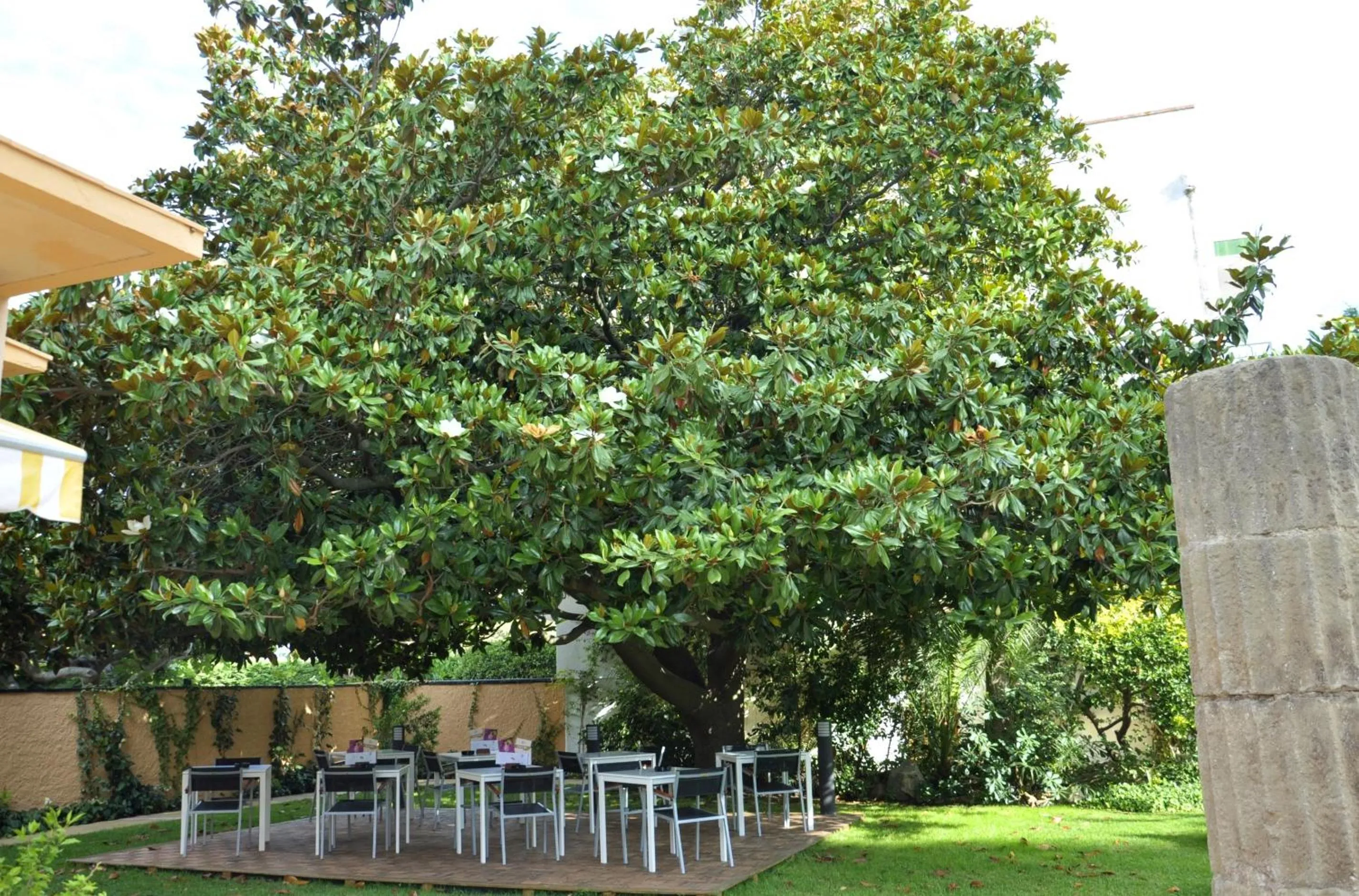 Patio in Hotel Sorrabona