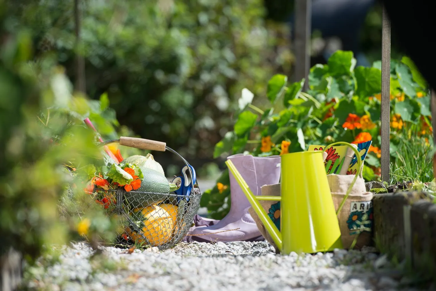 Food in Biohotel Grafenast