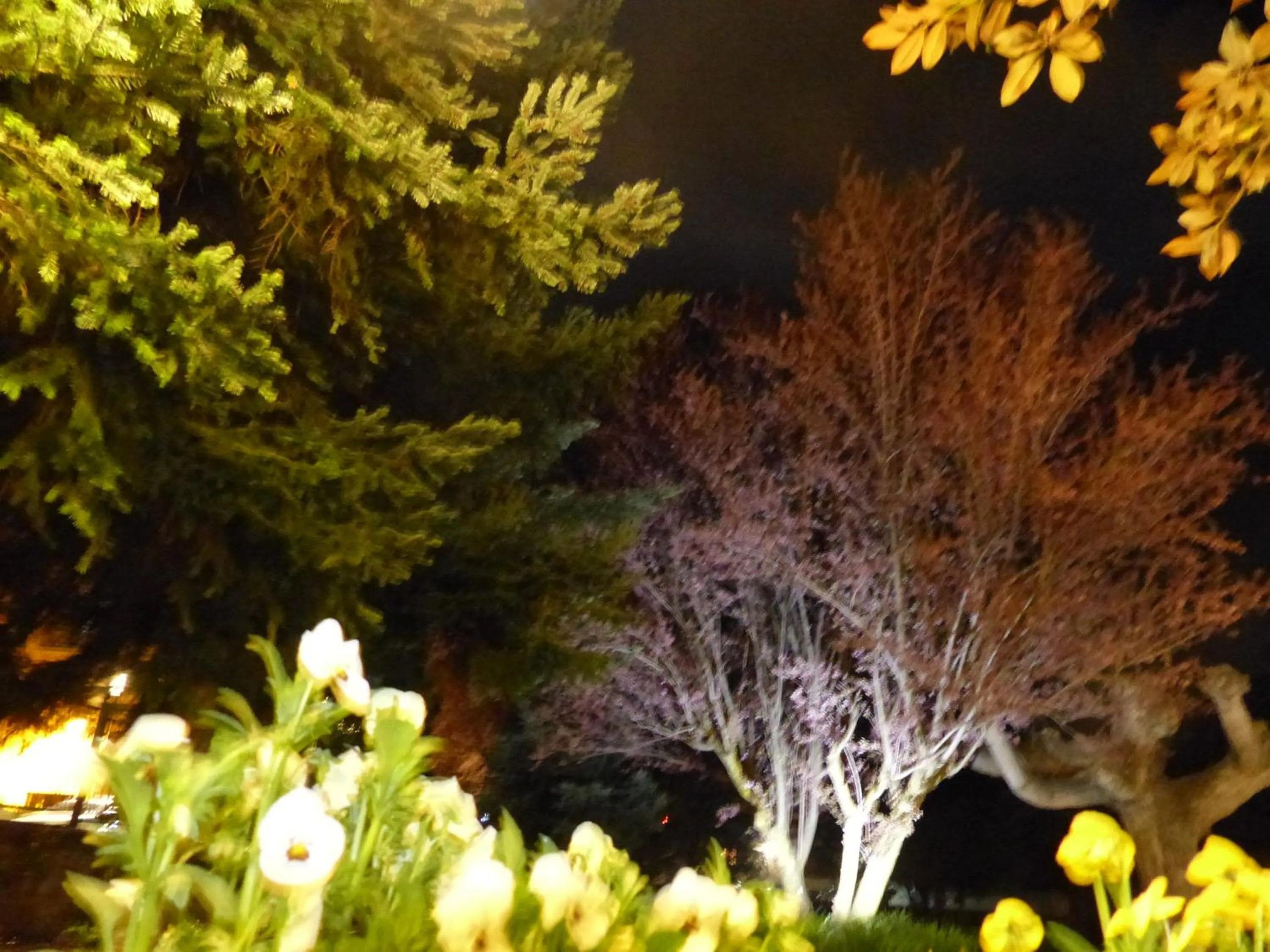 Garden view in Hostal Vall D'Aneu by Arcas & Sambola