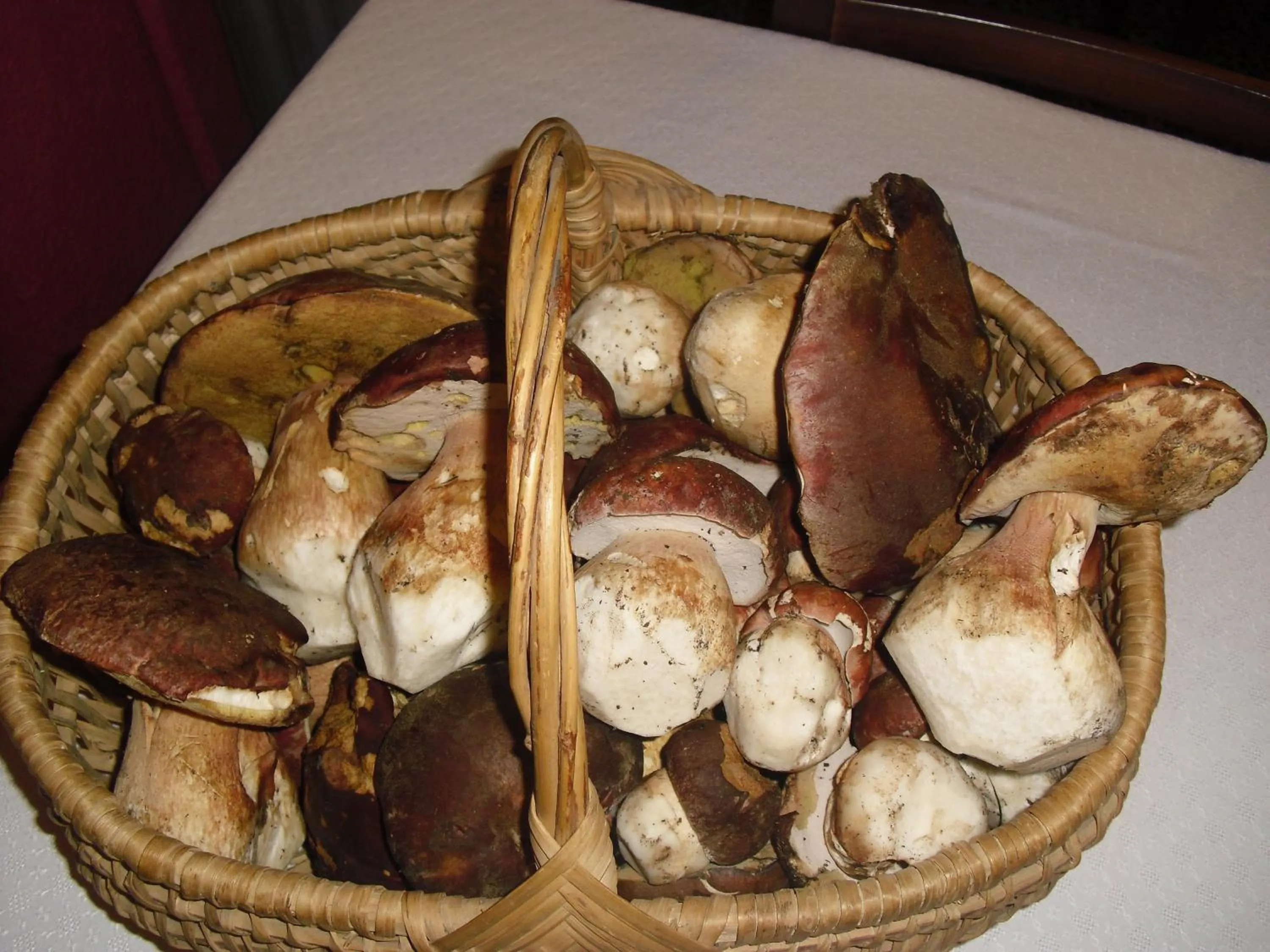 Food close-up in Hostal Vall D'Aneu by Arcas & Sambola