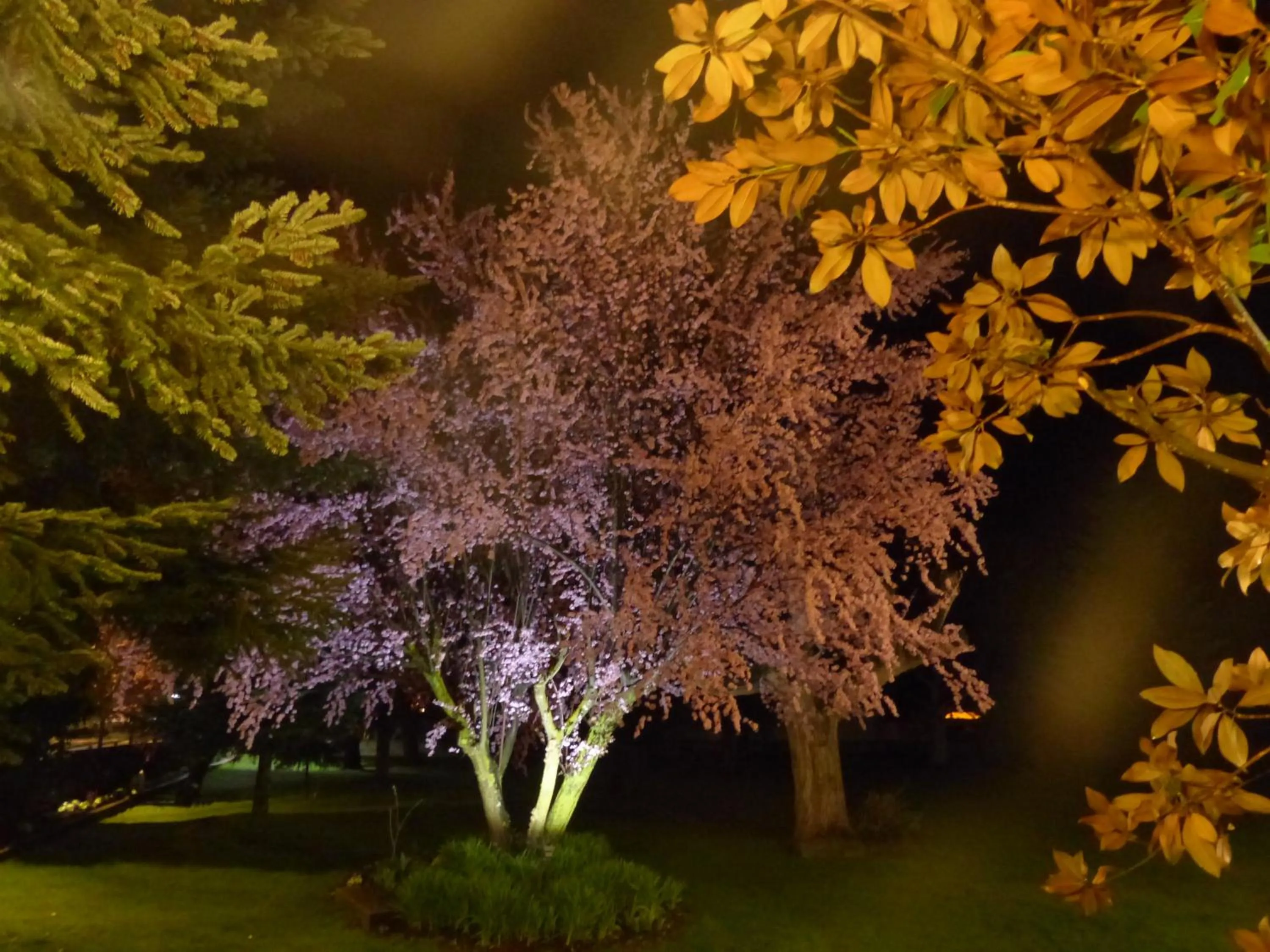 Night in Hostal Vall D'Aneu by Arcas & Sambola