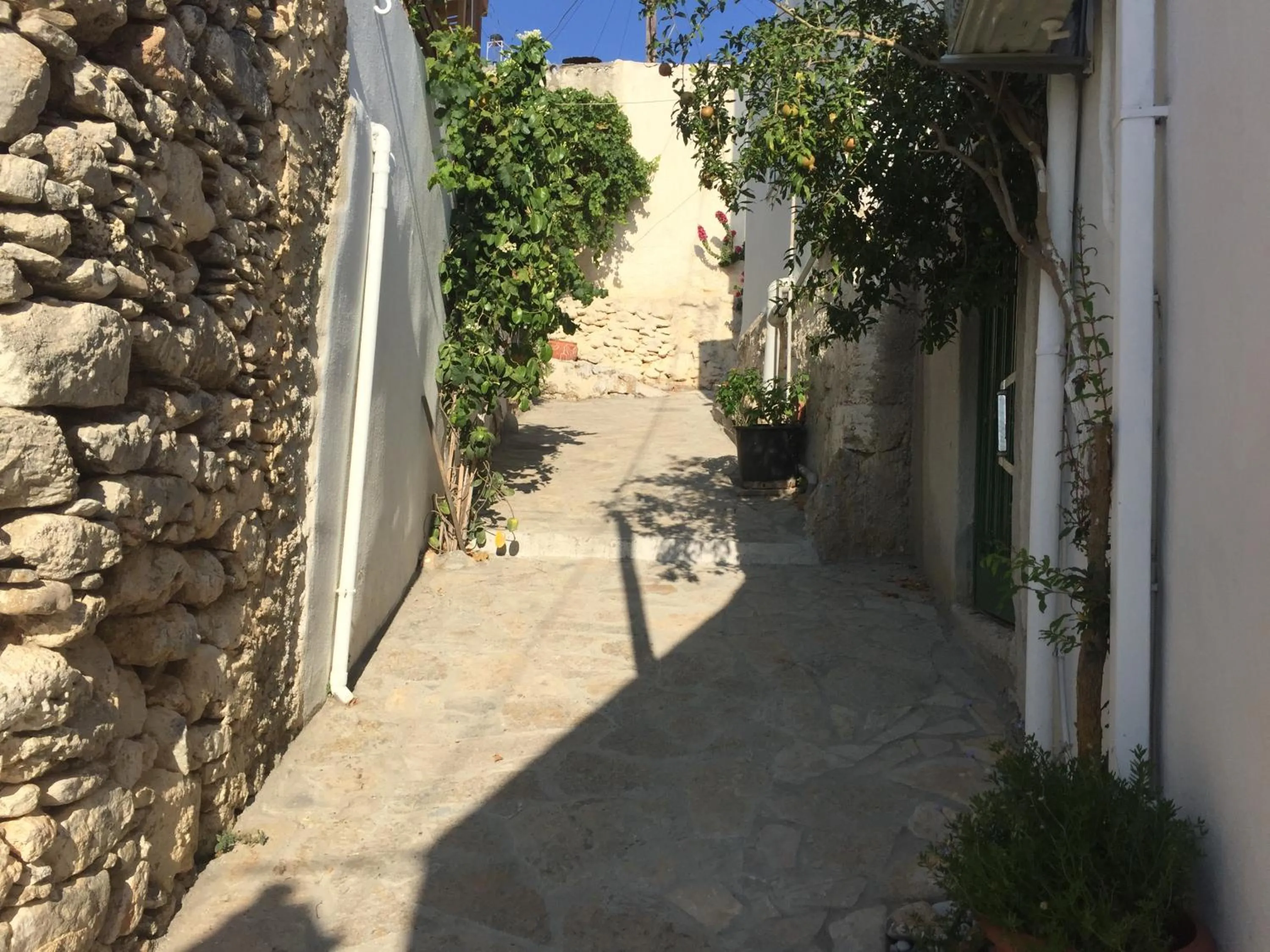 Supermarket/grocery shop in Tholos Rooms