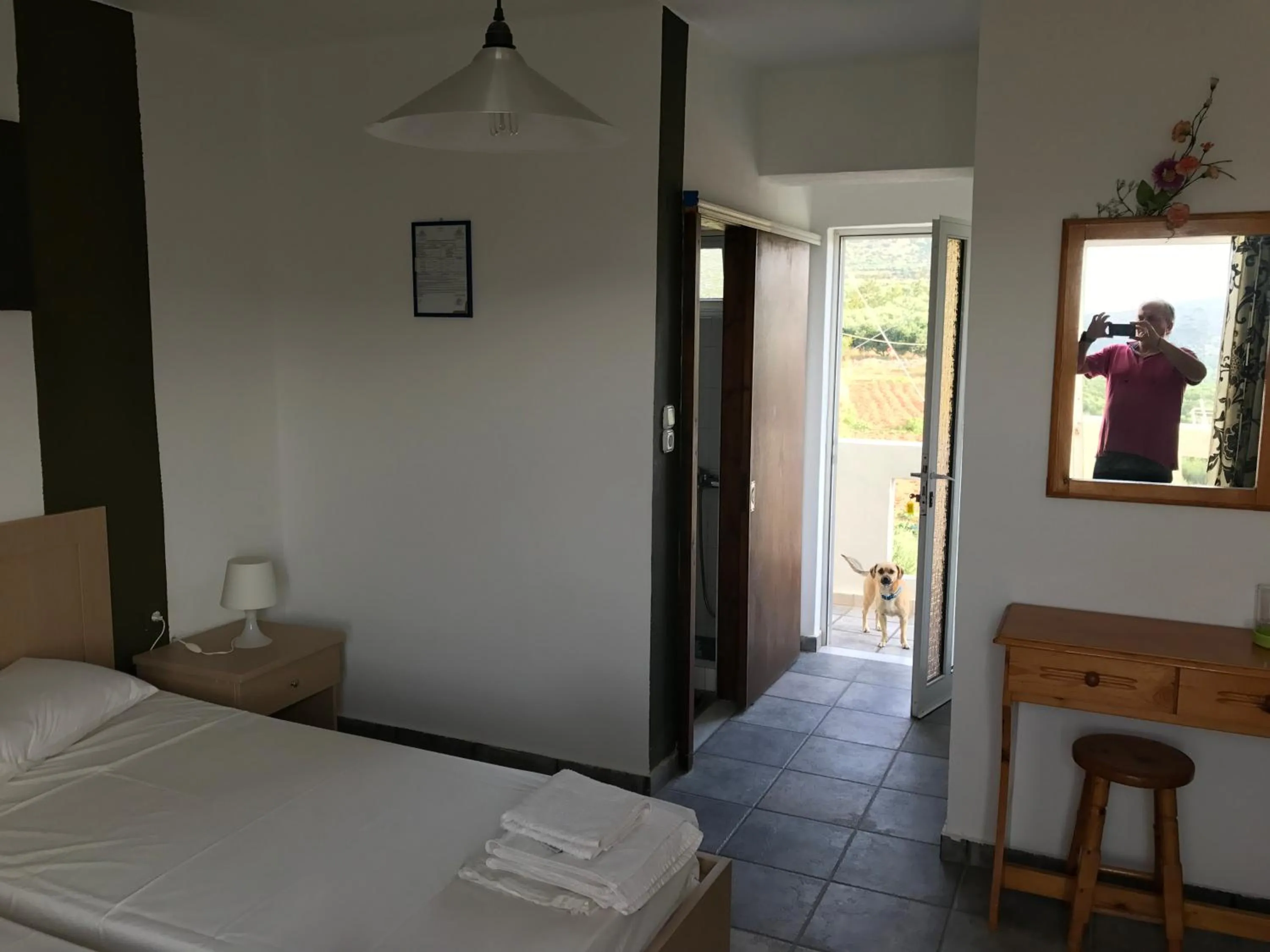 Pets, Bed in Tholos Rooms