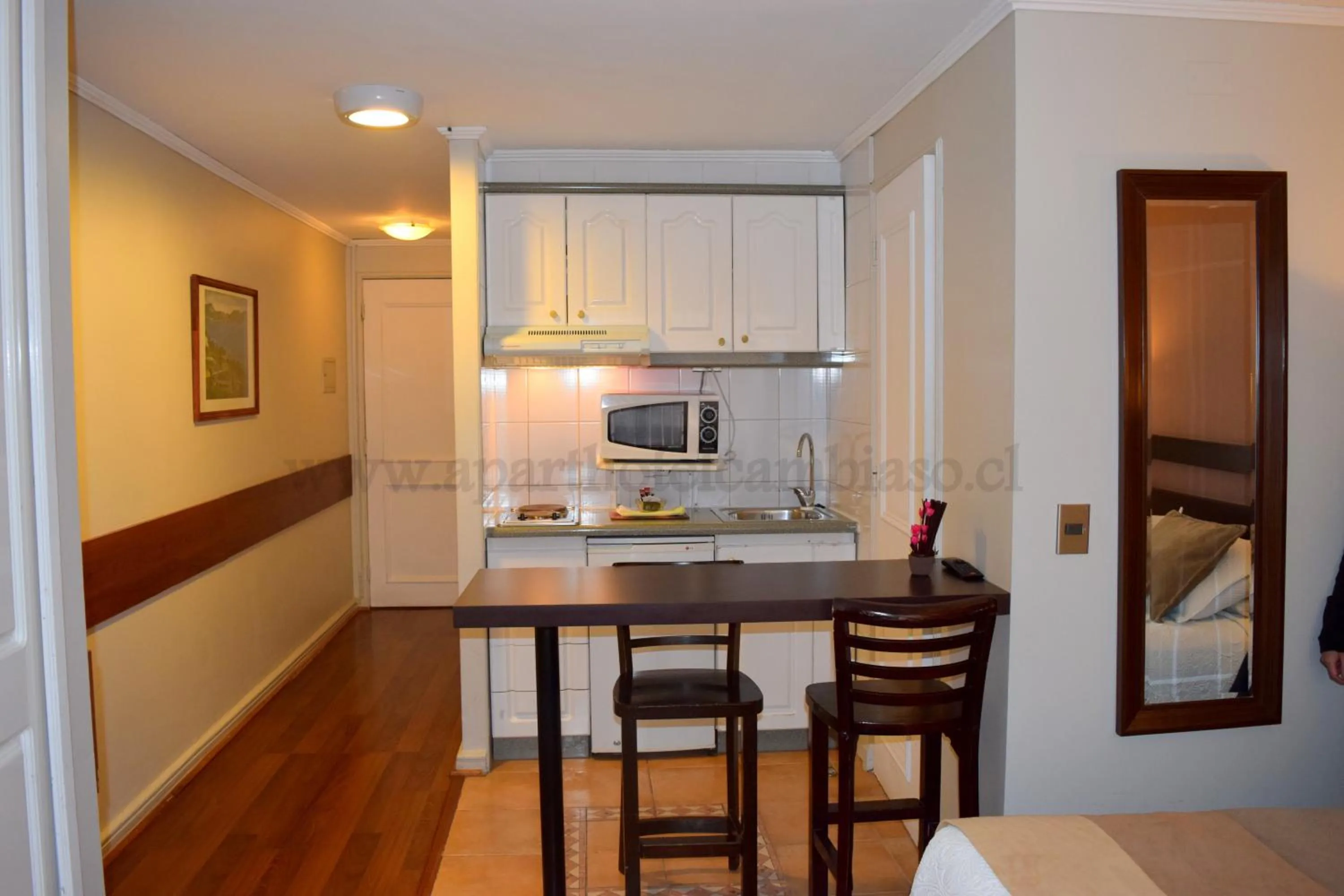 Kitchen or kitchenette in Apart Hotel Cambiaso