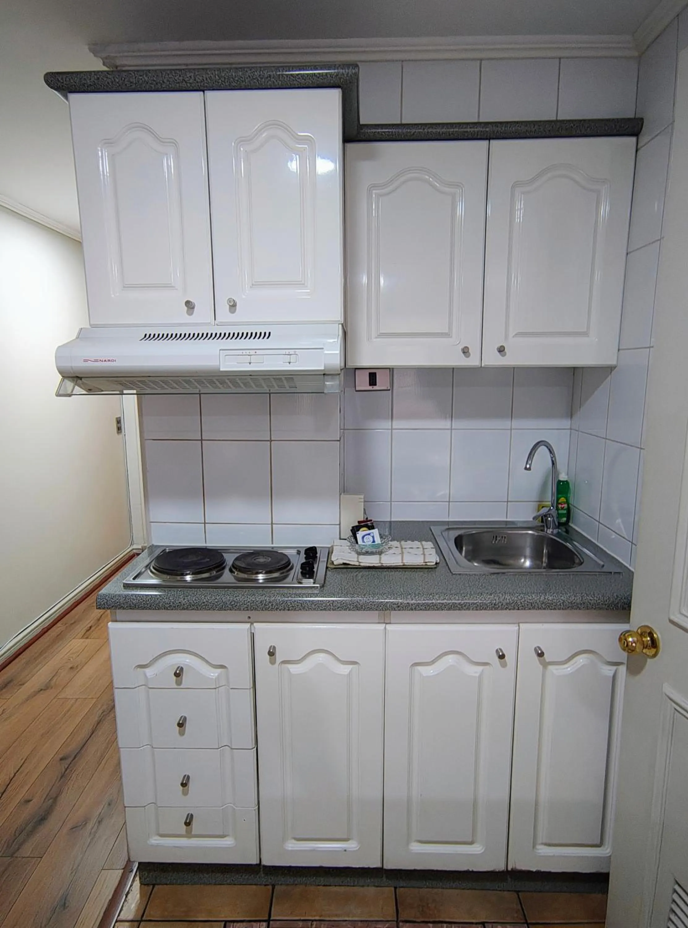 Kitchen or kitchenette in Apart Hotel Cambiaso