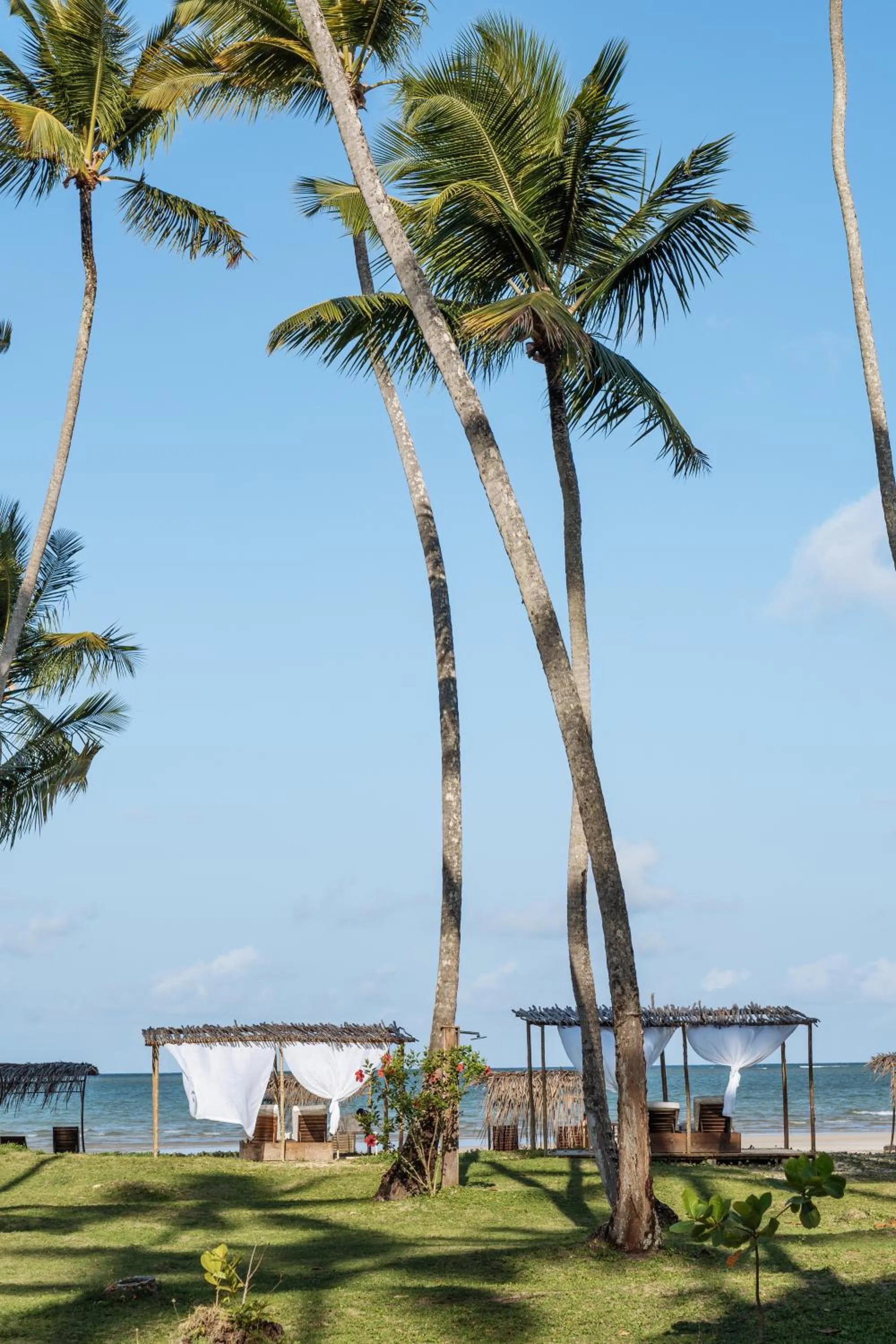Natural landscape in Vila Dos Orixás Boutique Hotel