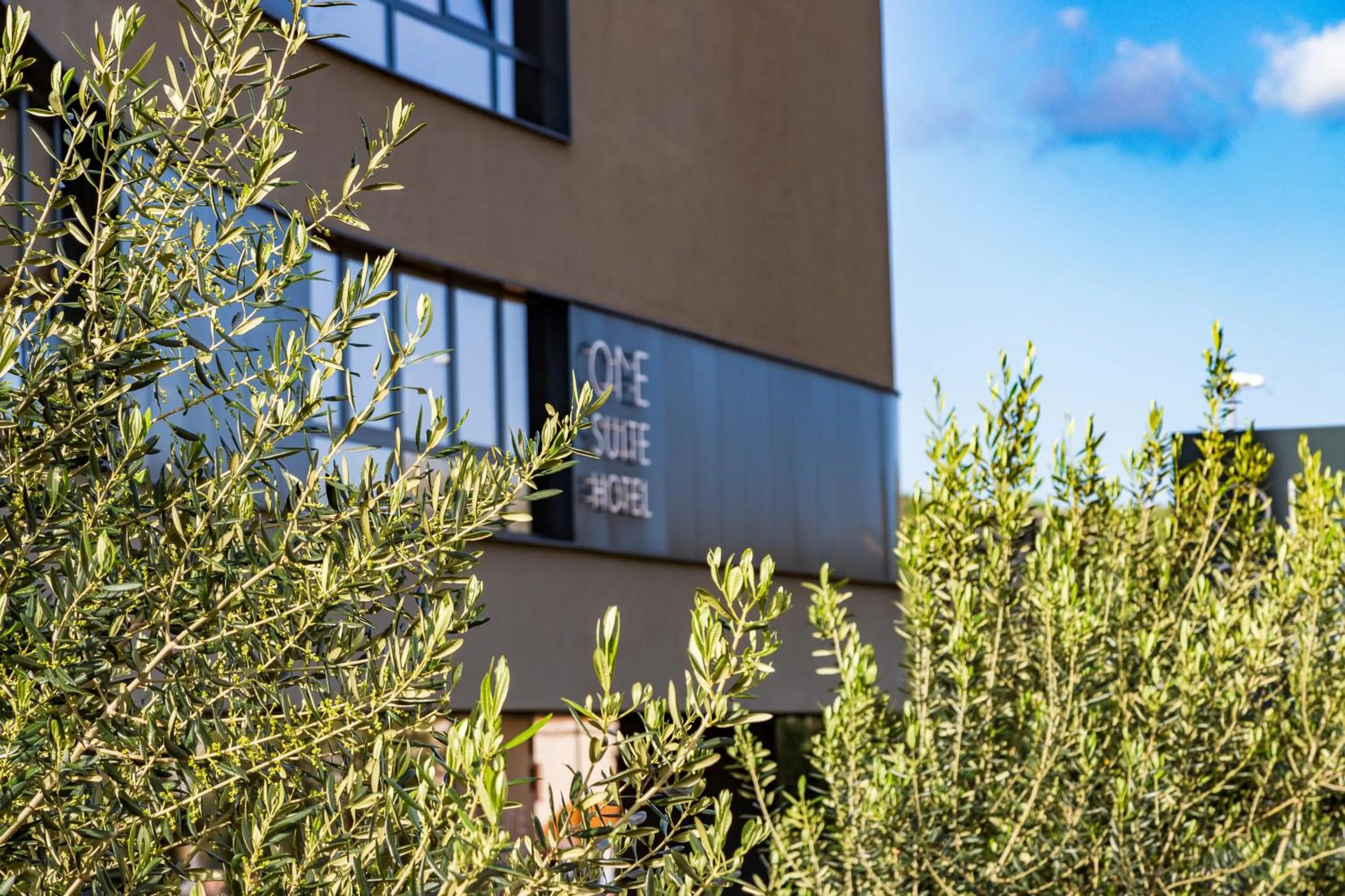 Property building in One Suite Hotel