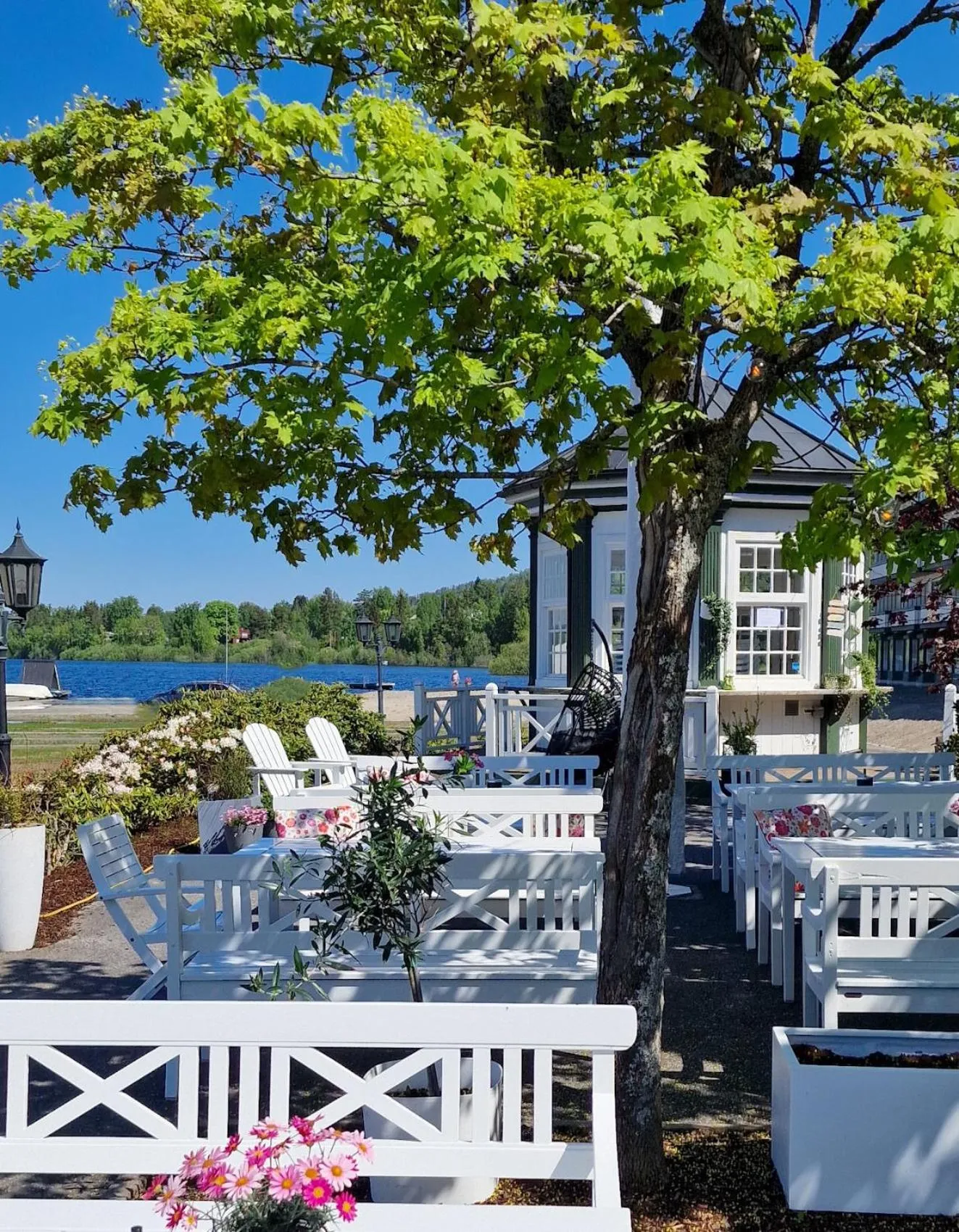 Restaurant/places to eat in Tyrifjord Hotell