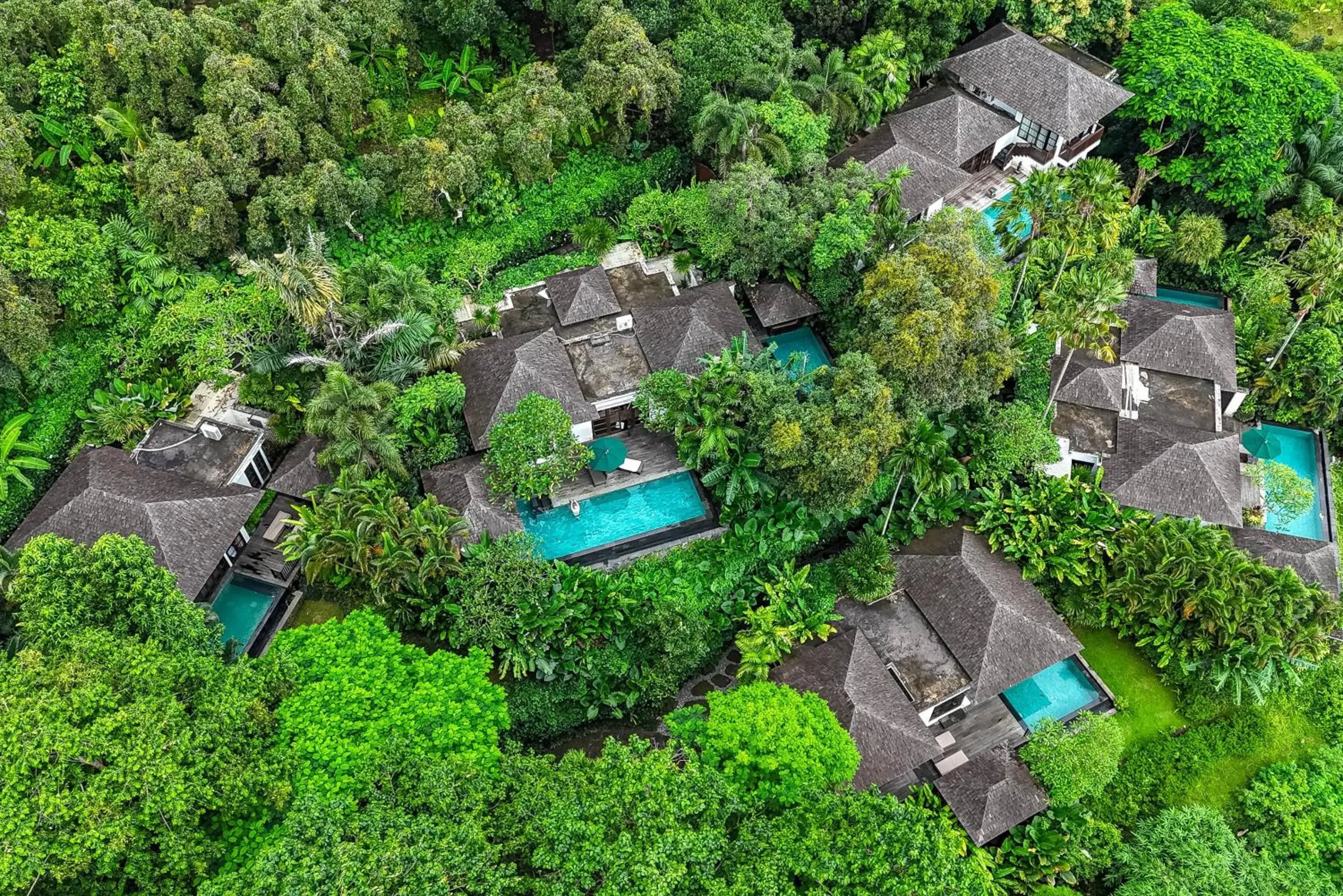 Property building in The Damai Property building in The Damai