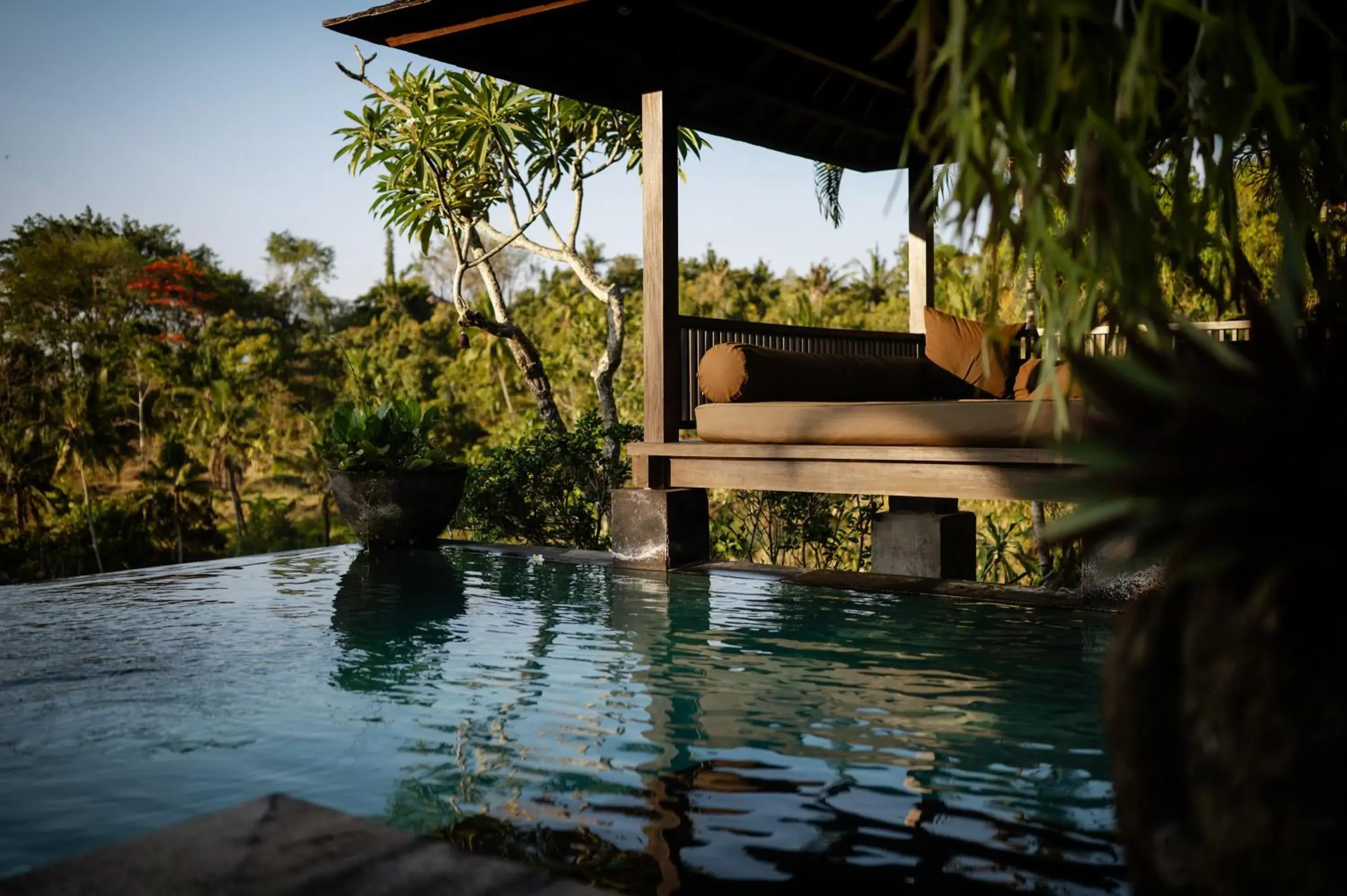 Swimming pool in The Damai Swimming pool in The Damai