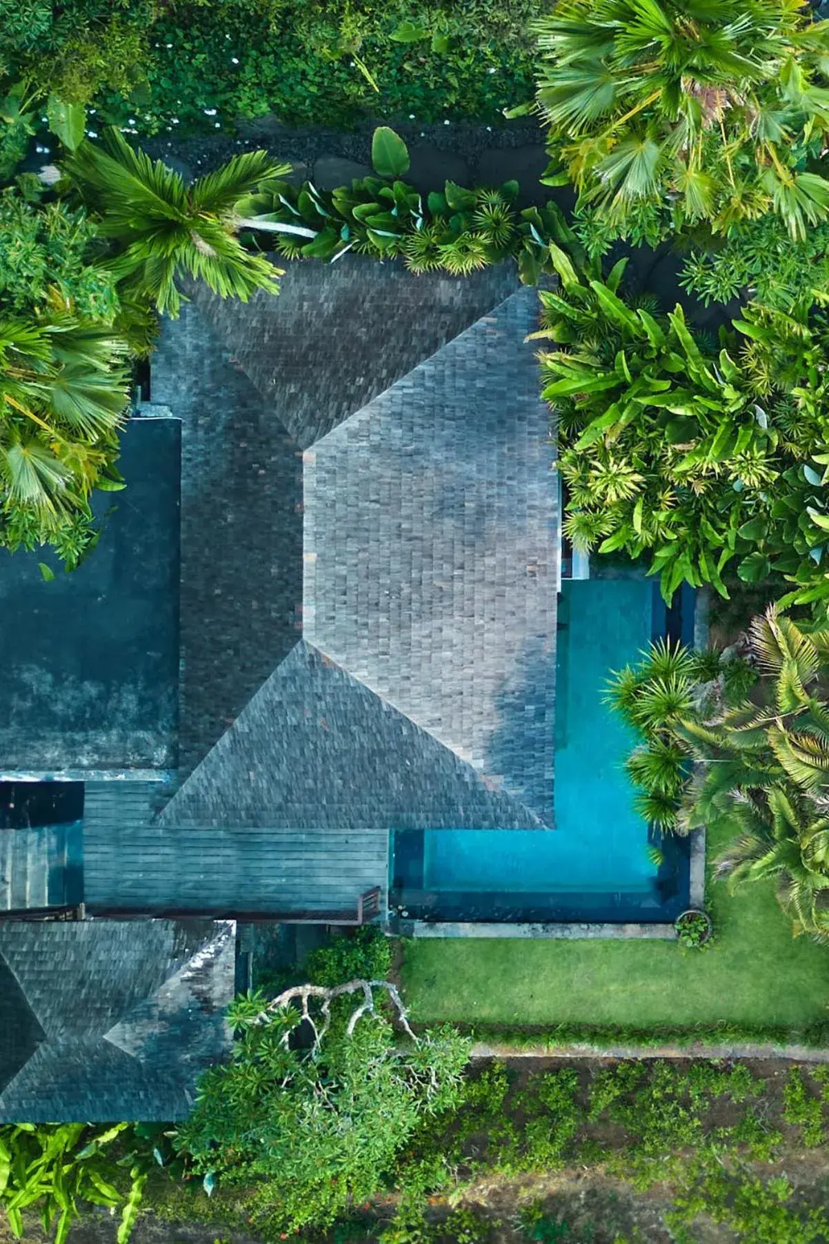 Property building in The Damai Property building in The Damai