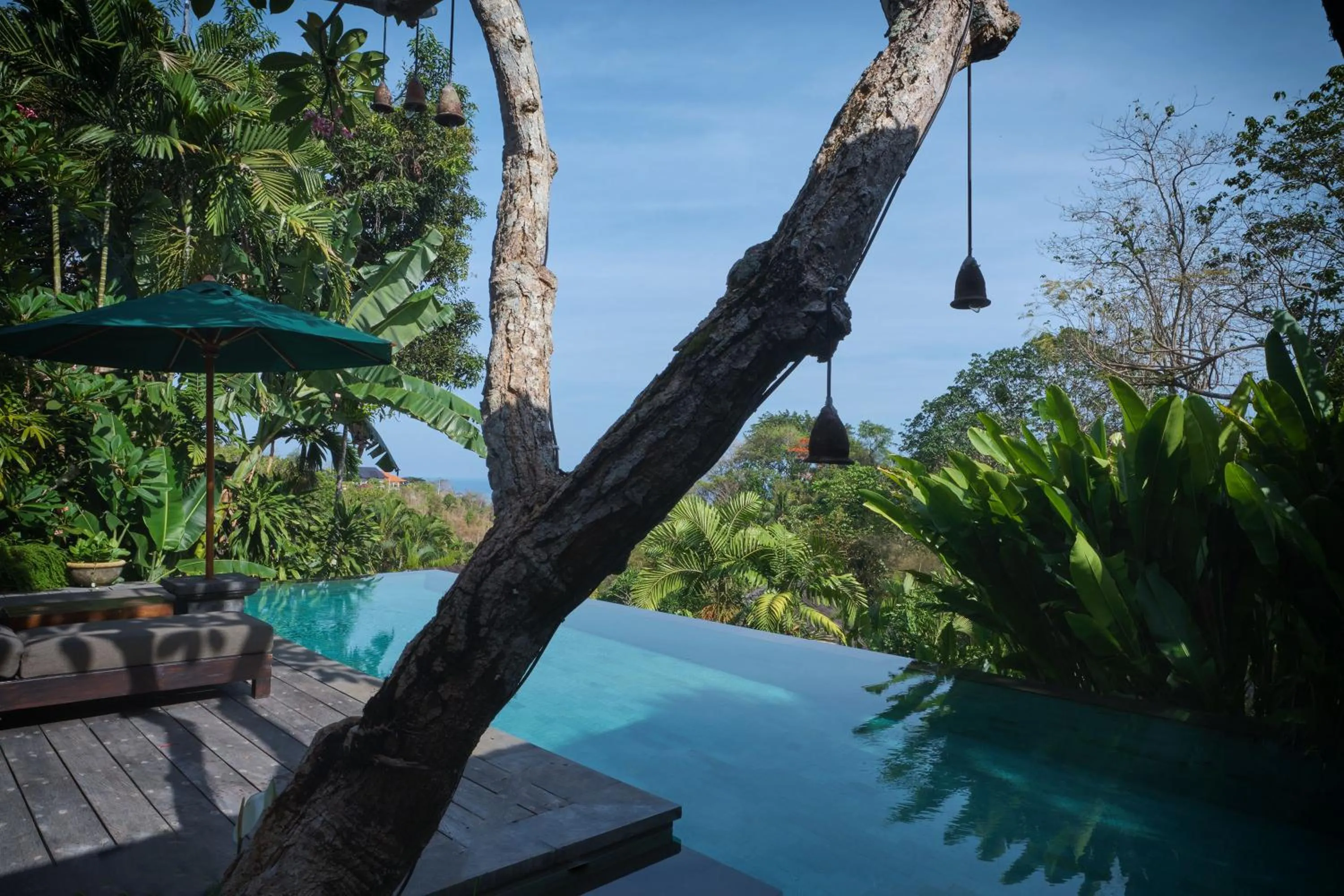 Natural landscape in The Damai