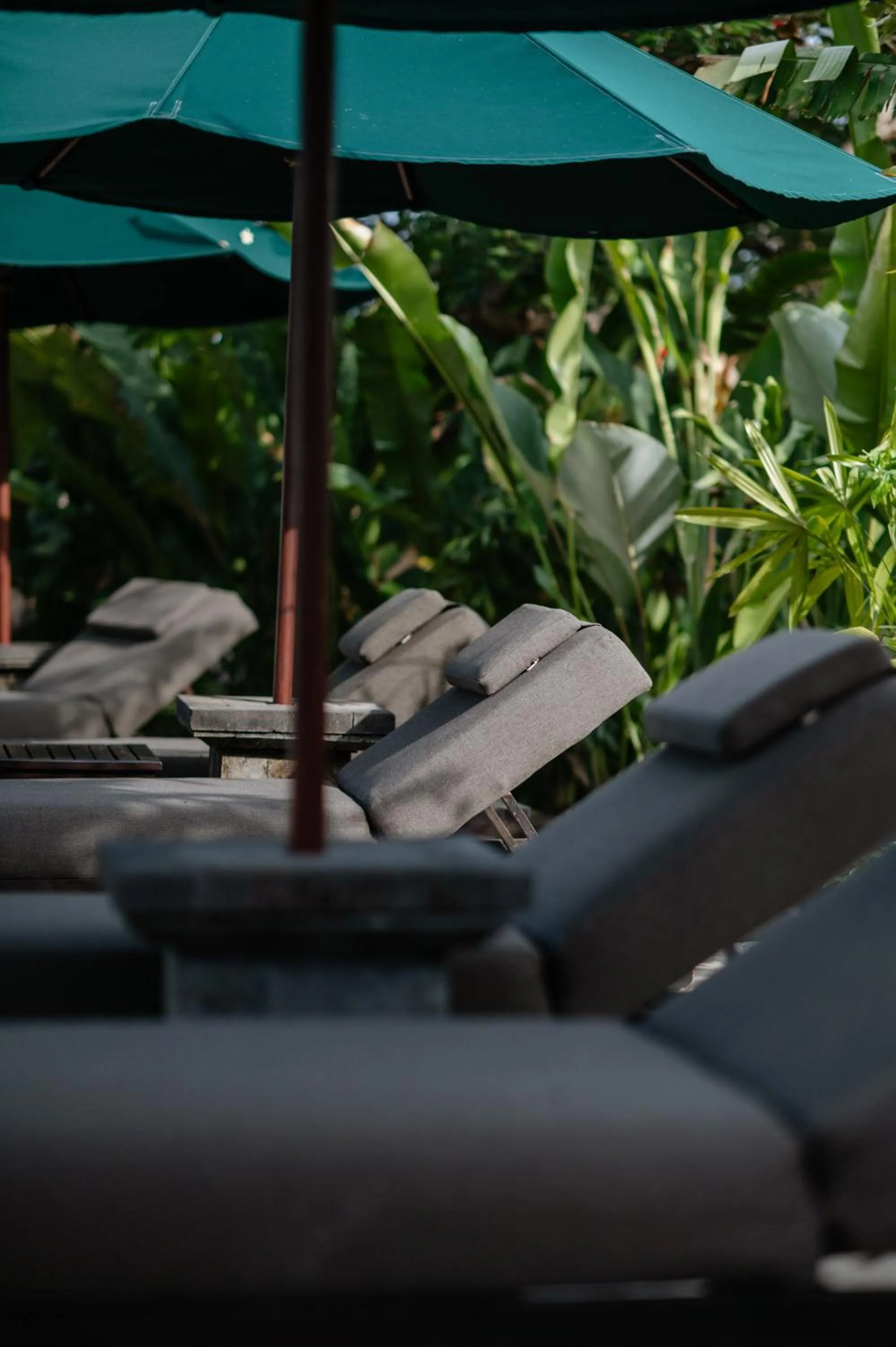 Swimming pool in The Damai