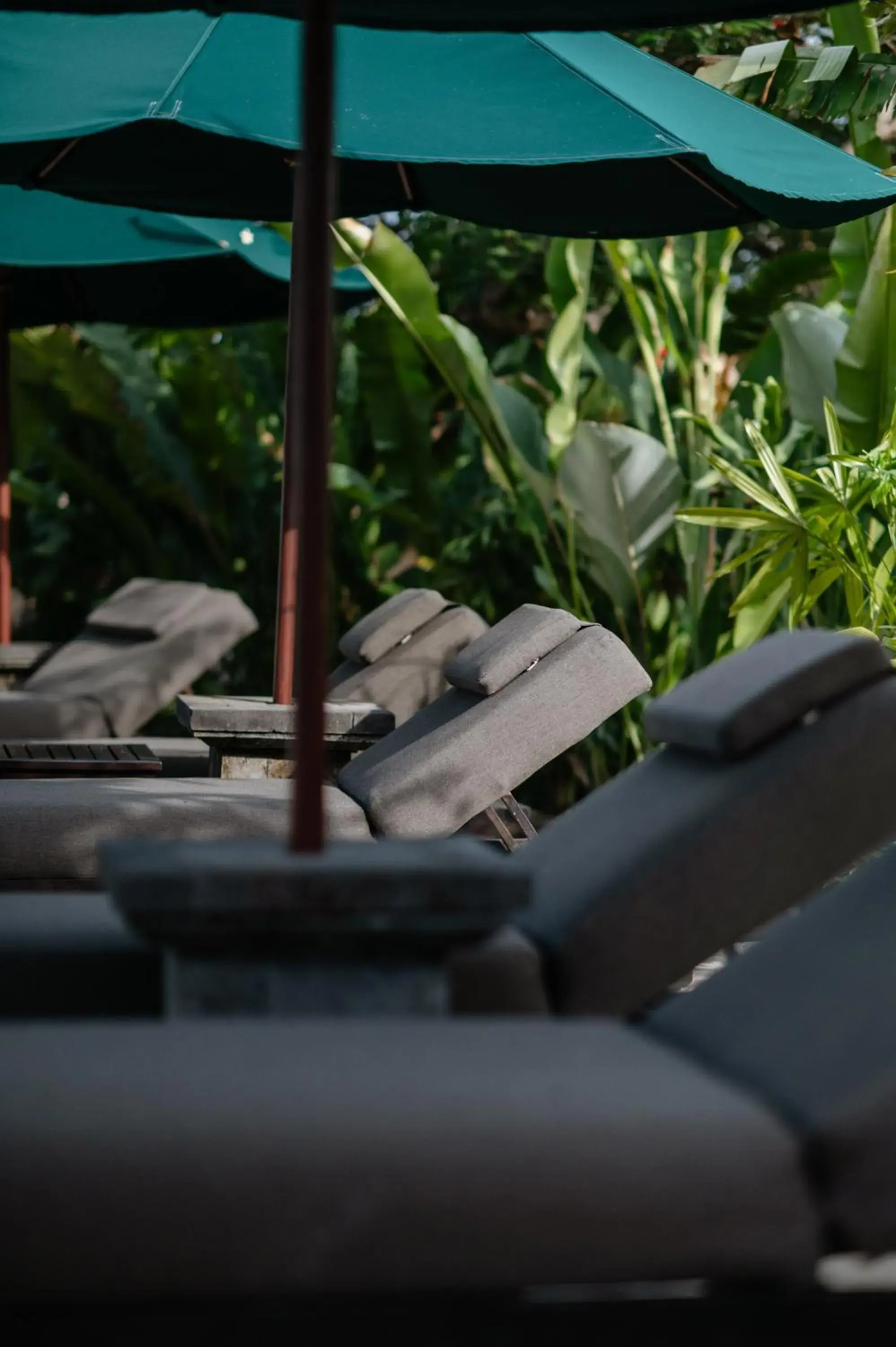 Swimming pool in The Damai Swimming pool in The Damai