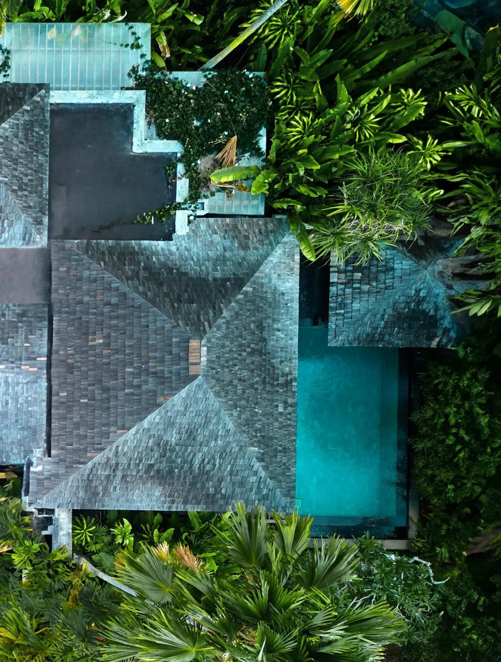 Property building in The Damai Property building in The Damai