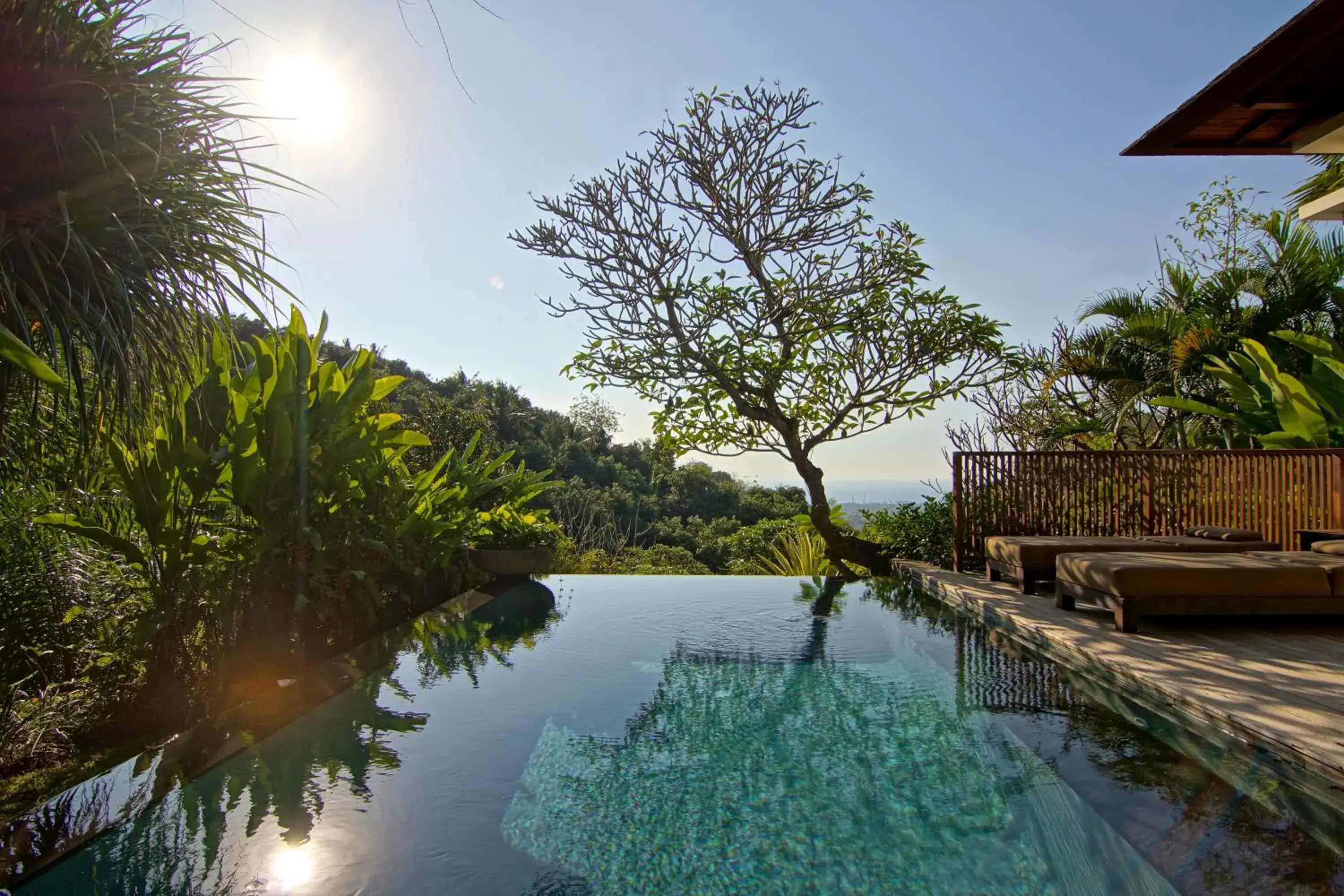 Swimming pool in The Damai Swimming pool in The Damai