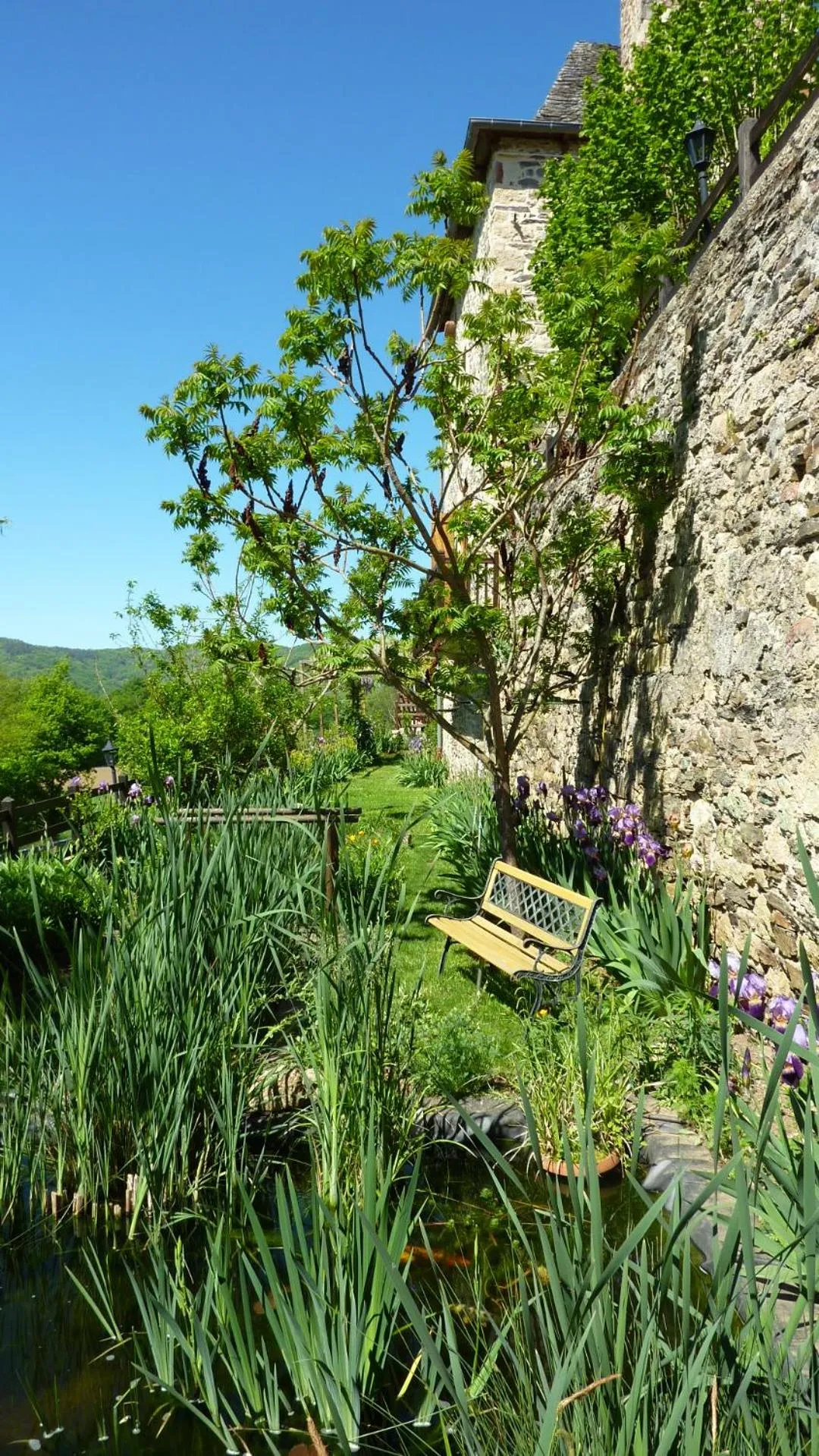 Garden in B&B Manoir de la Fabrègues