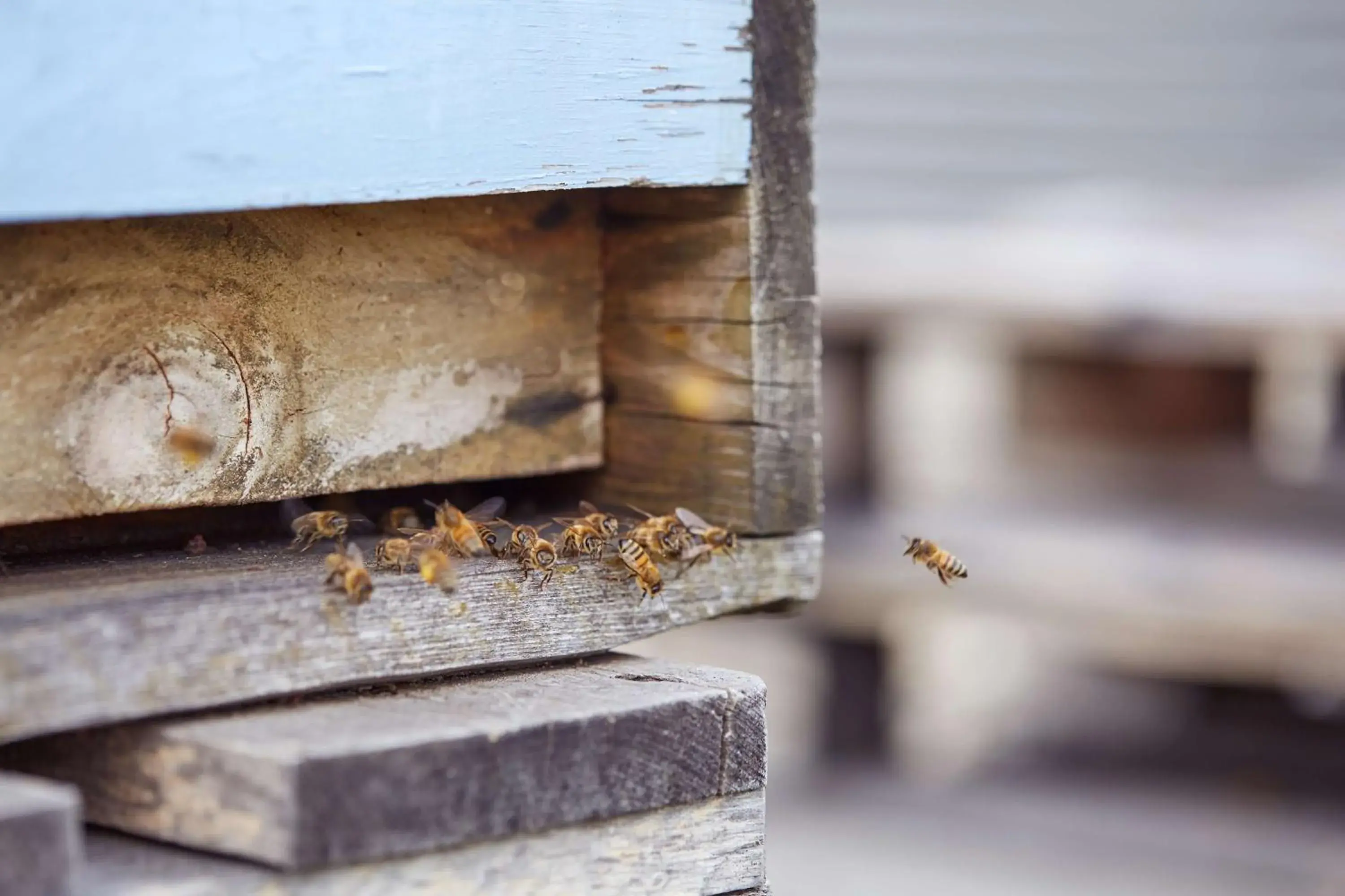 Property building in Scandic Berlin Potsdamer Platz Property building in Scandic Berlin Potsdamer Platz