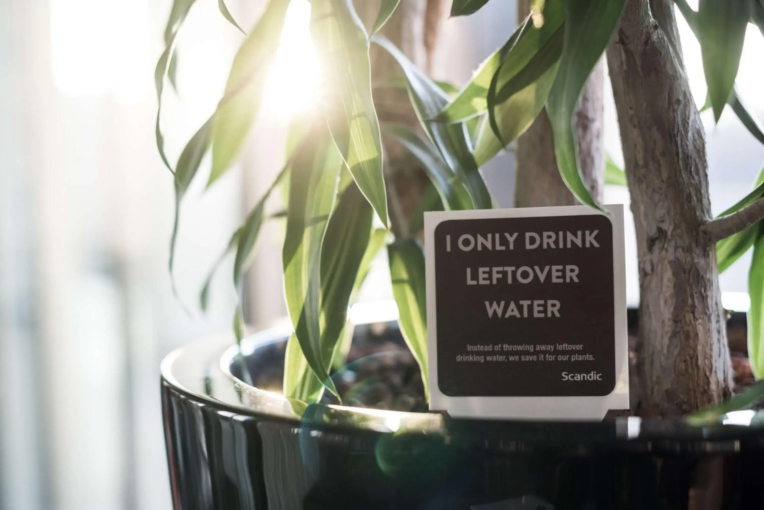 Property building in Scandic Berlin Potsdamer Platz Property building in Scandic Berlin Potsdamer Platz