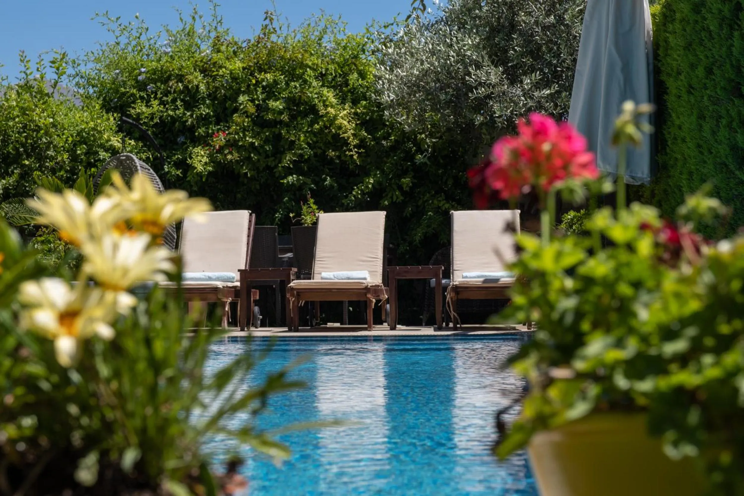 Swimming pool in Bramasole Alaçatı