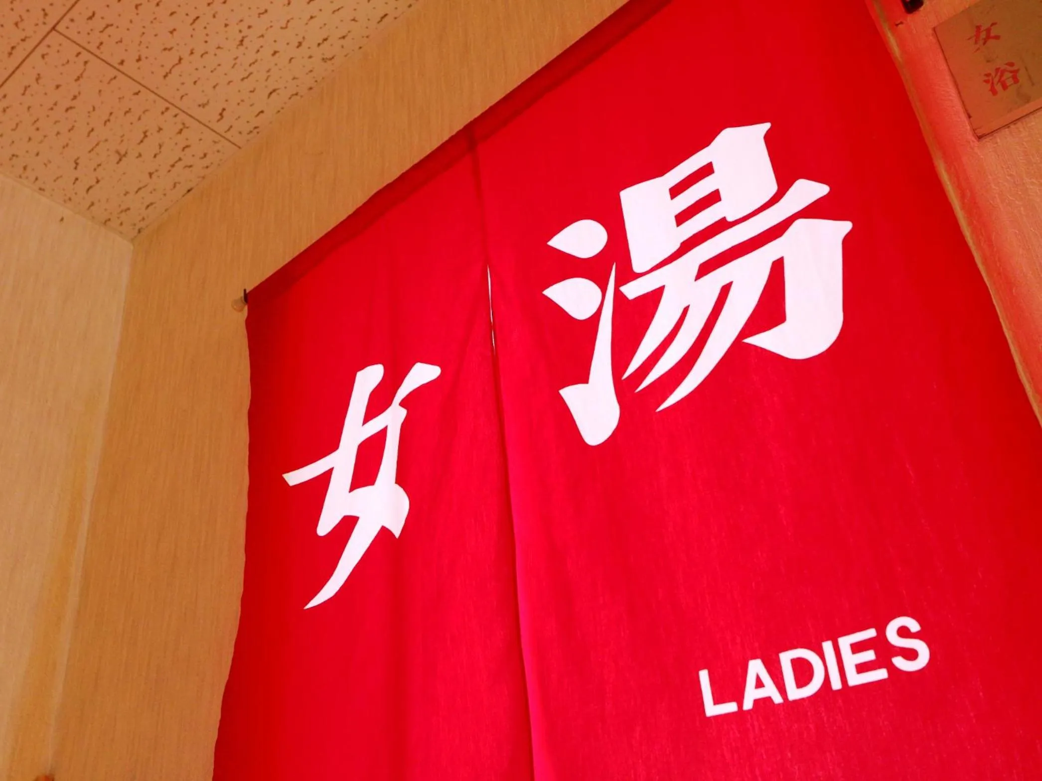 Hot Spring Bath in Komao