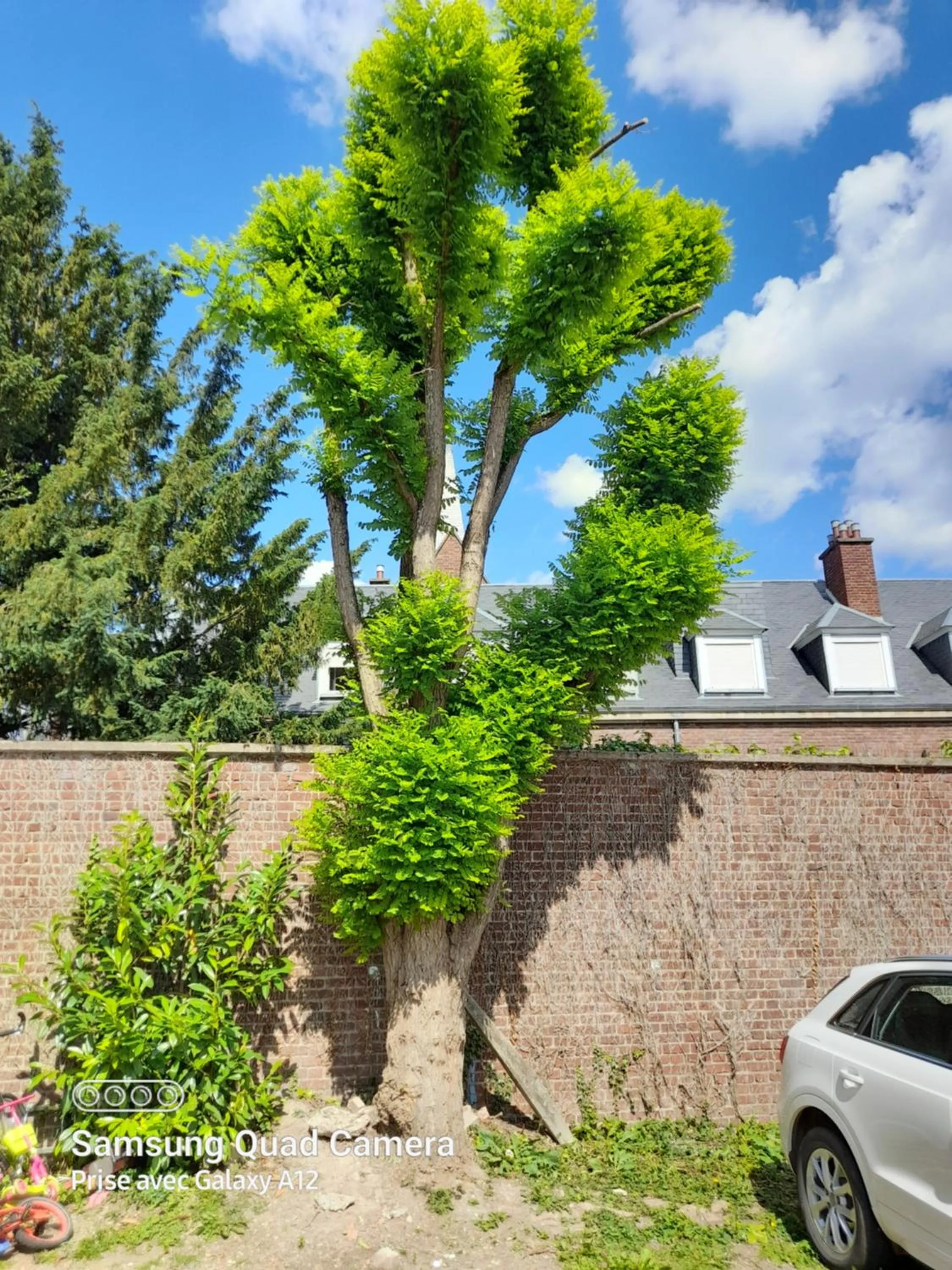 Inner courtyard view in Hotel Au Spatial