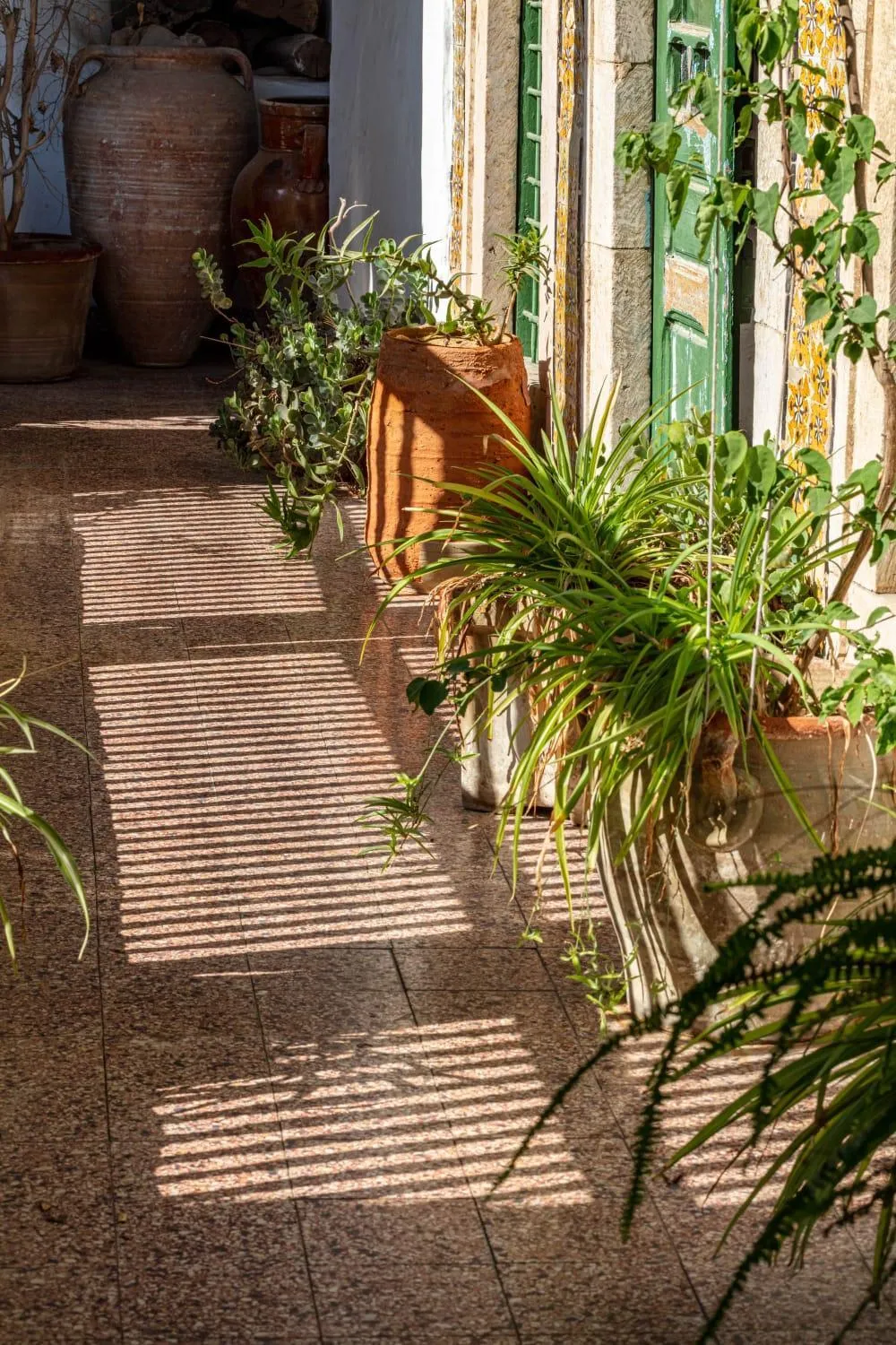 Garden in Dar Hayder-la Medina