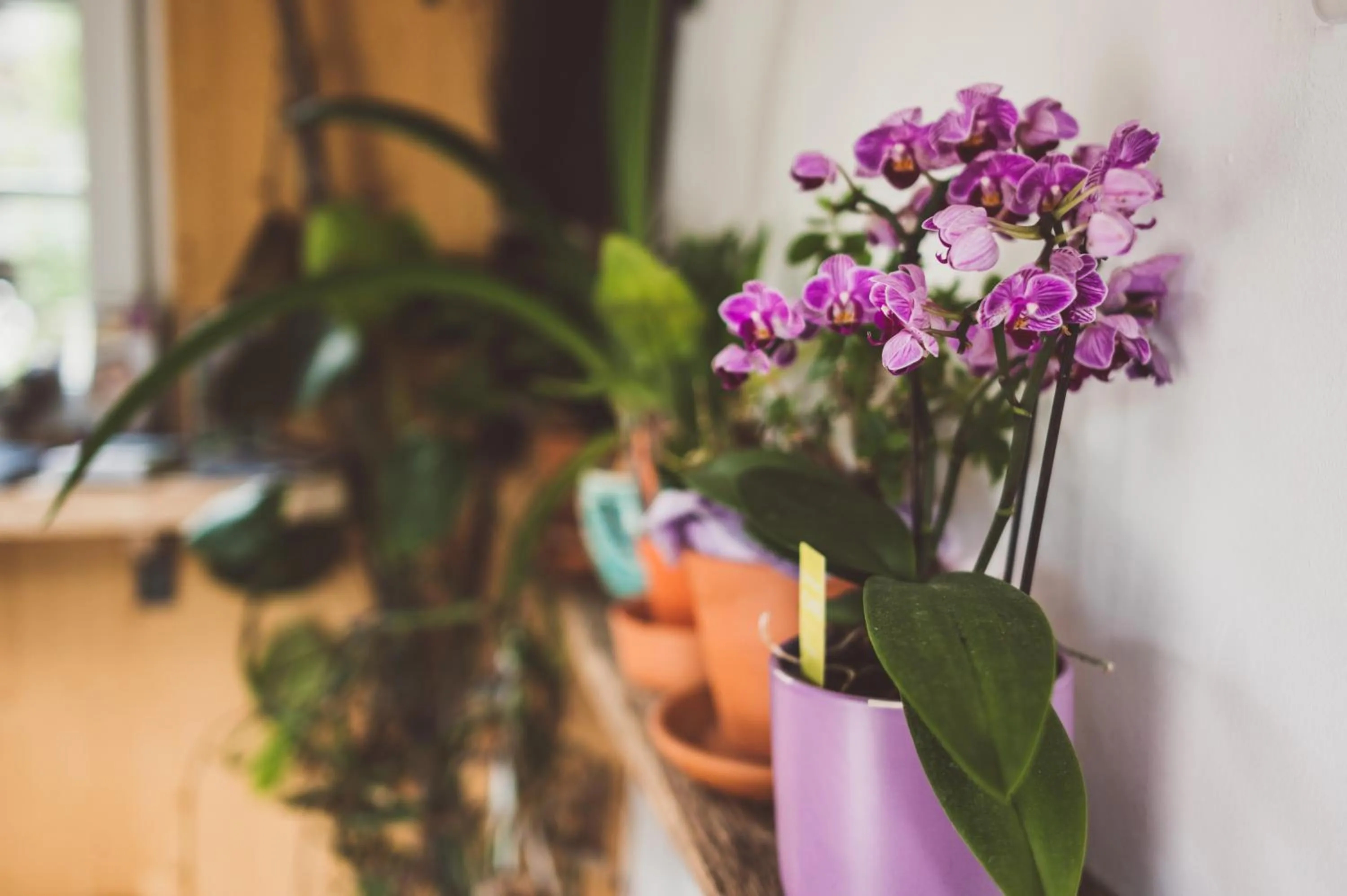 Lobby or reception in Chalet am Sonnenhang