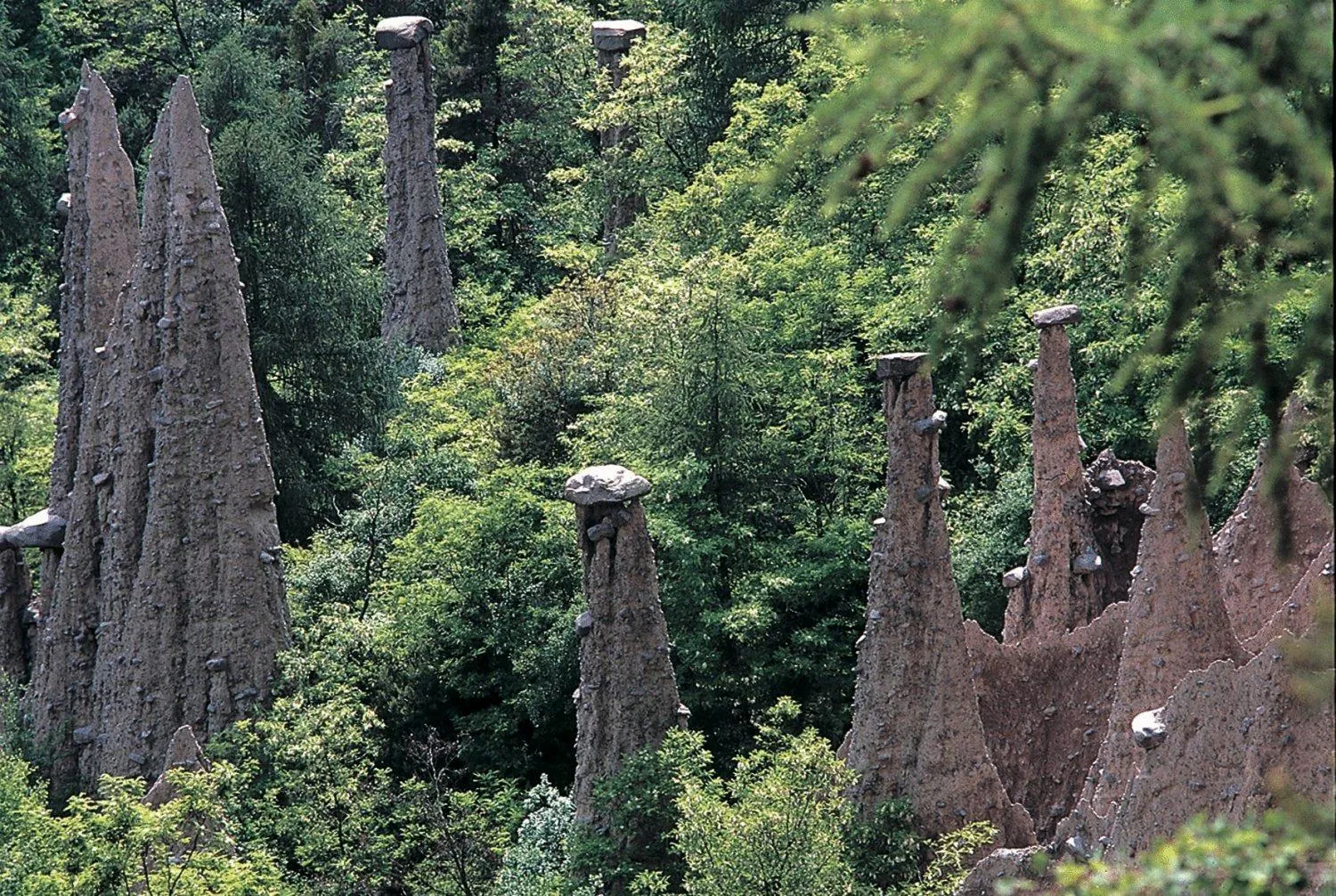 Area and facilities in Hotel Tirol- Natural Idyll