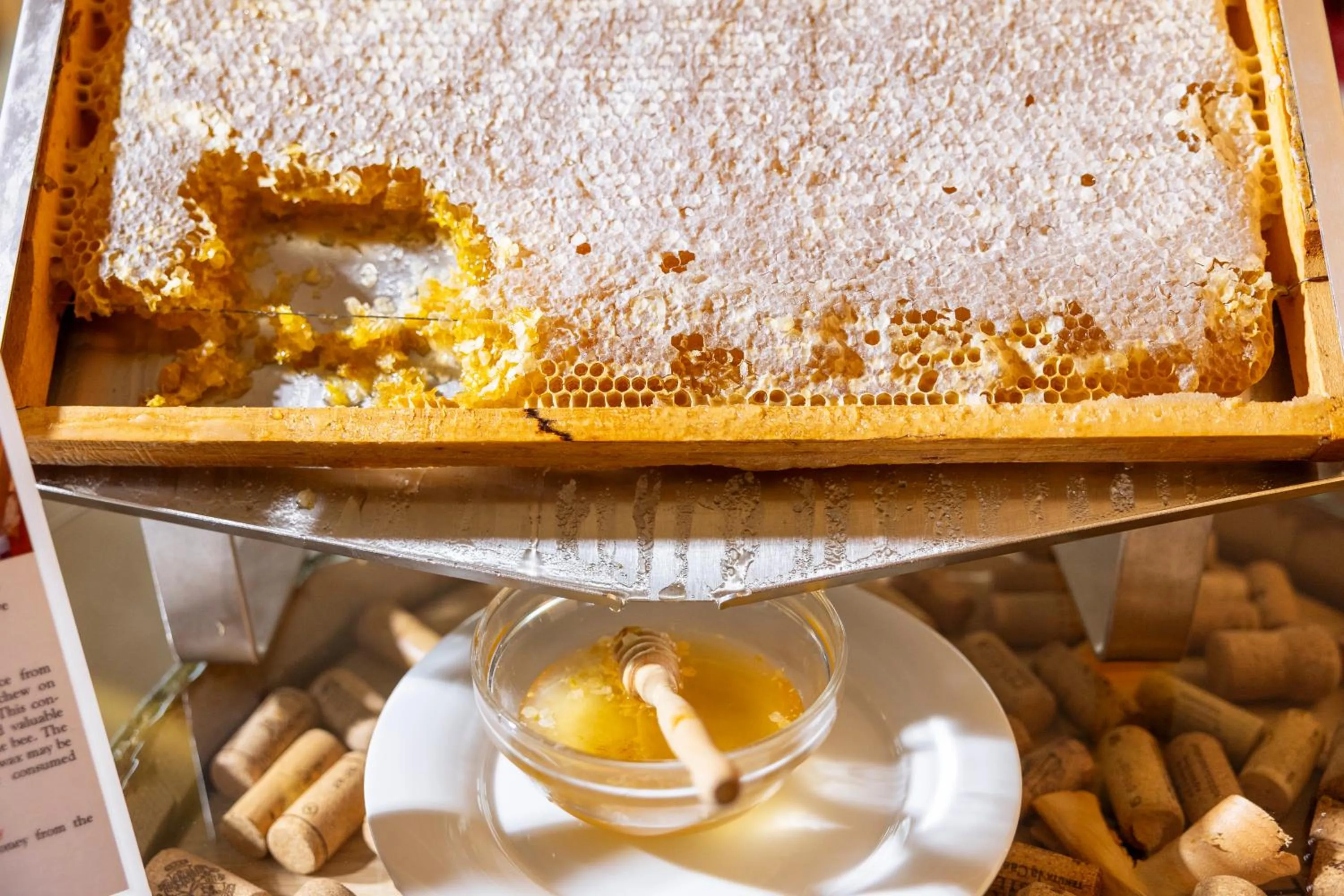 Breakfast in Hotel Tirol- Natural Idyll