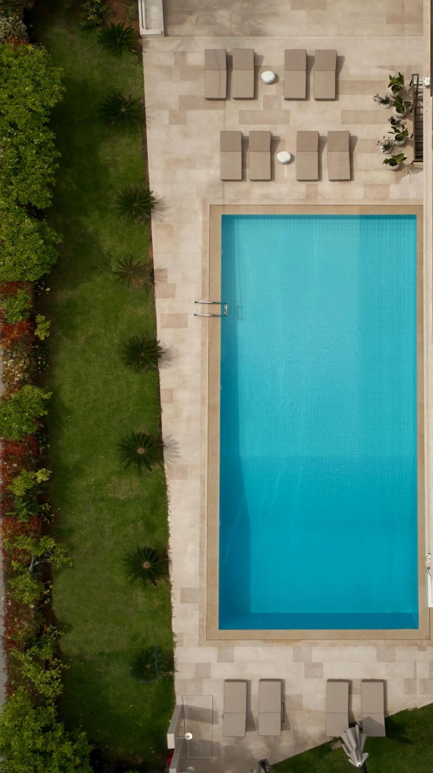 Garden in Golden Sun Hotel